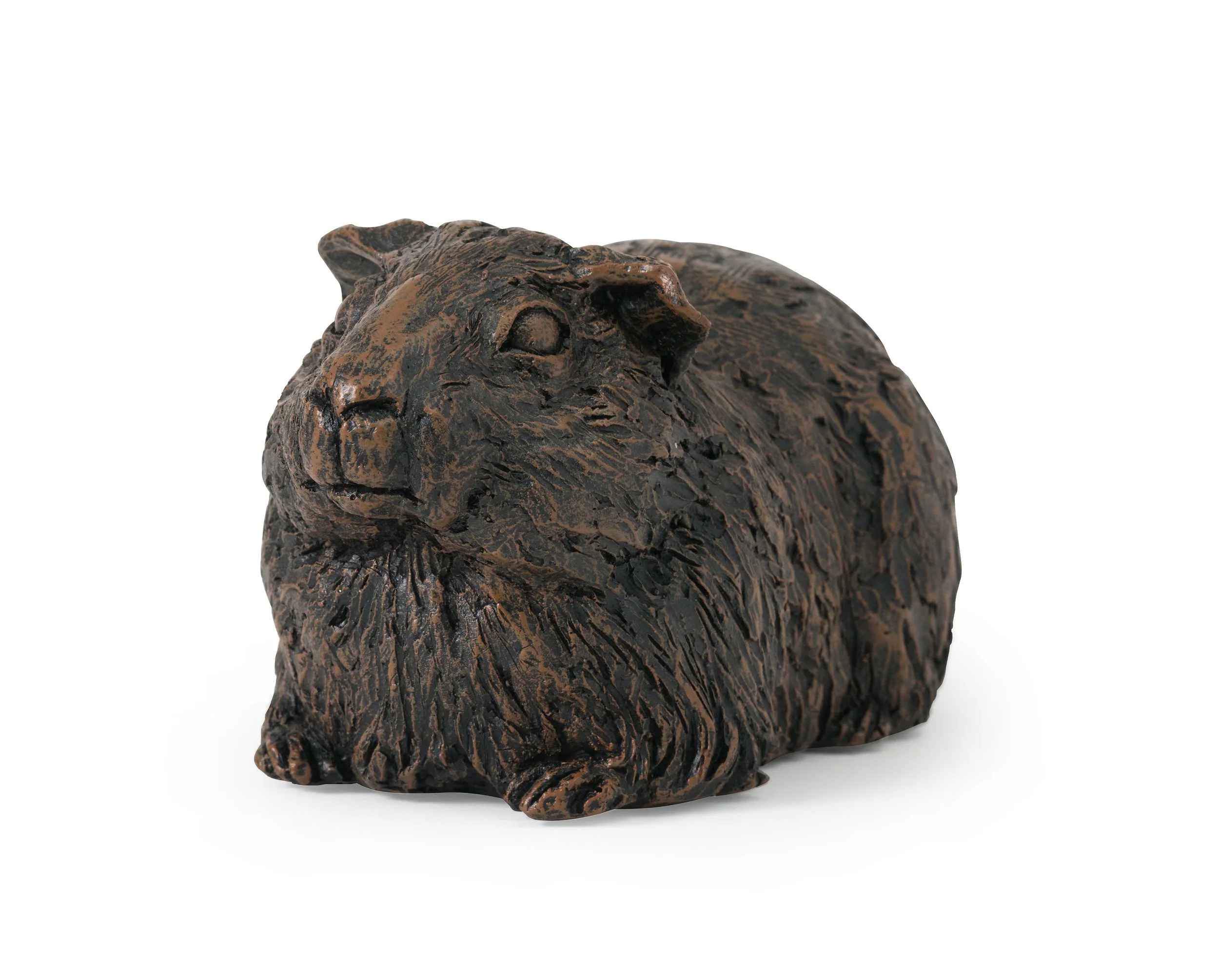 Guinea-Pig-03.jpg