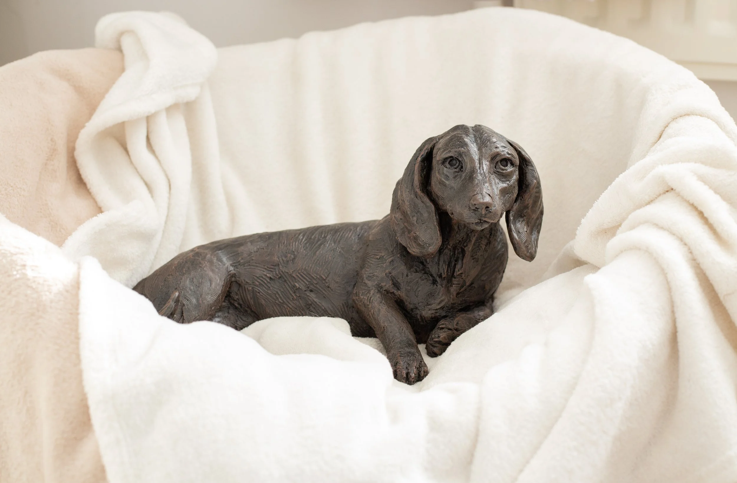 Dachushund-Short-Haired-06.jpg