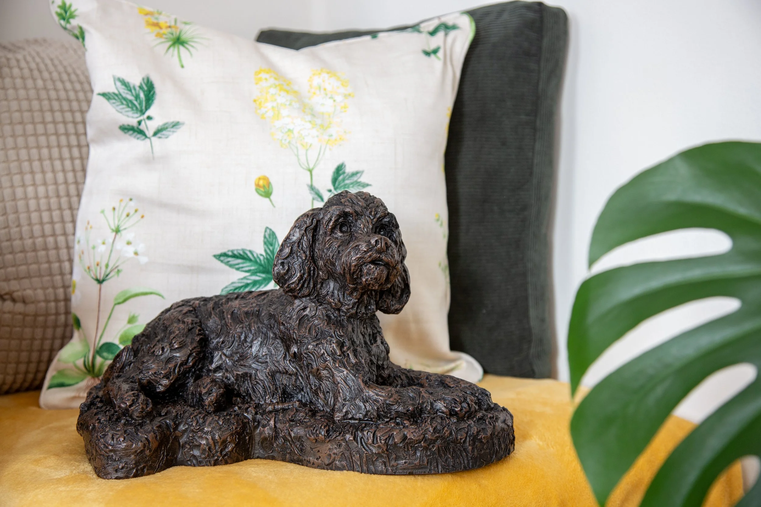 Cockapoo-11.jpg
