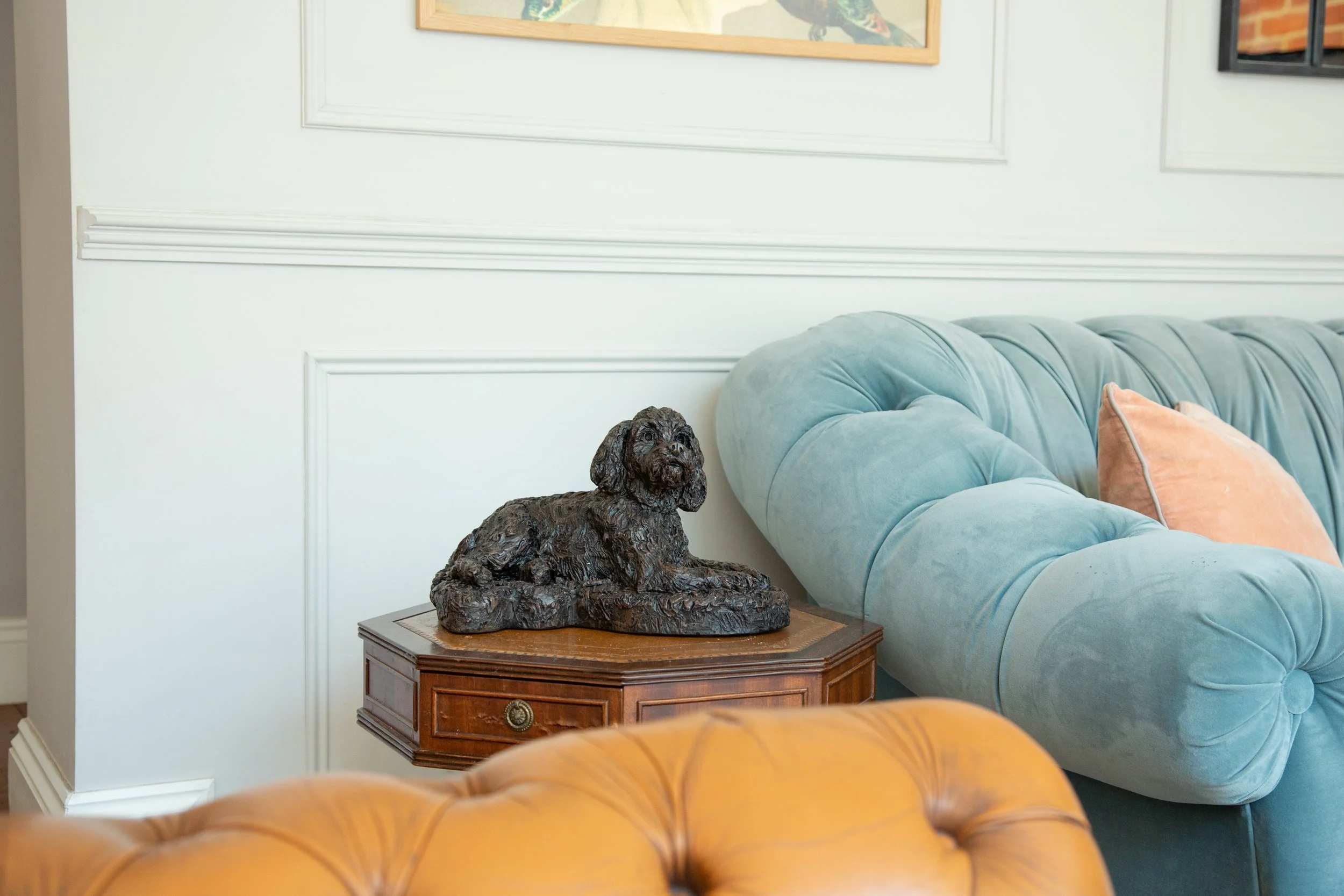 Cockapoo-04.jpg