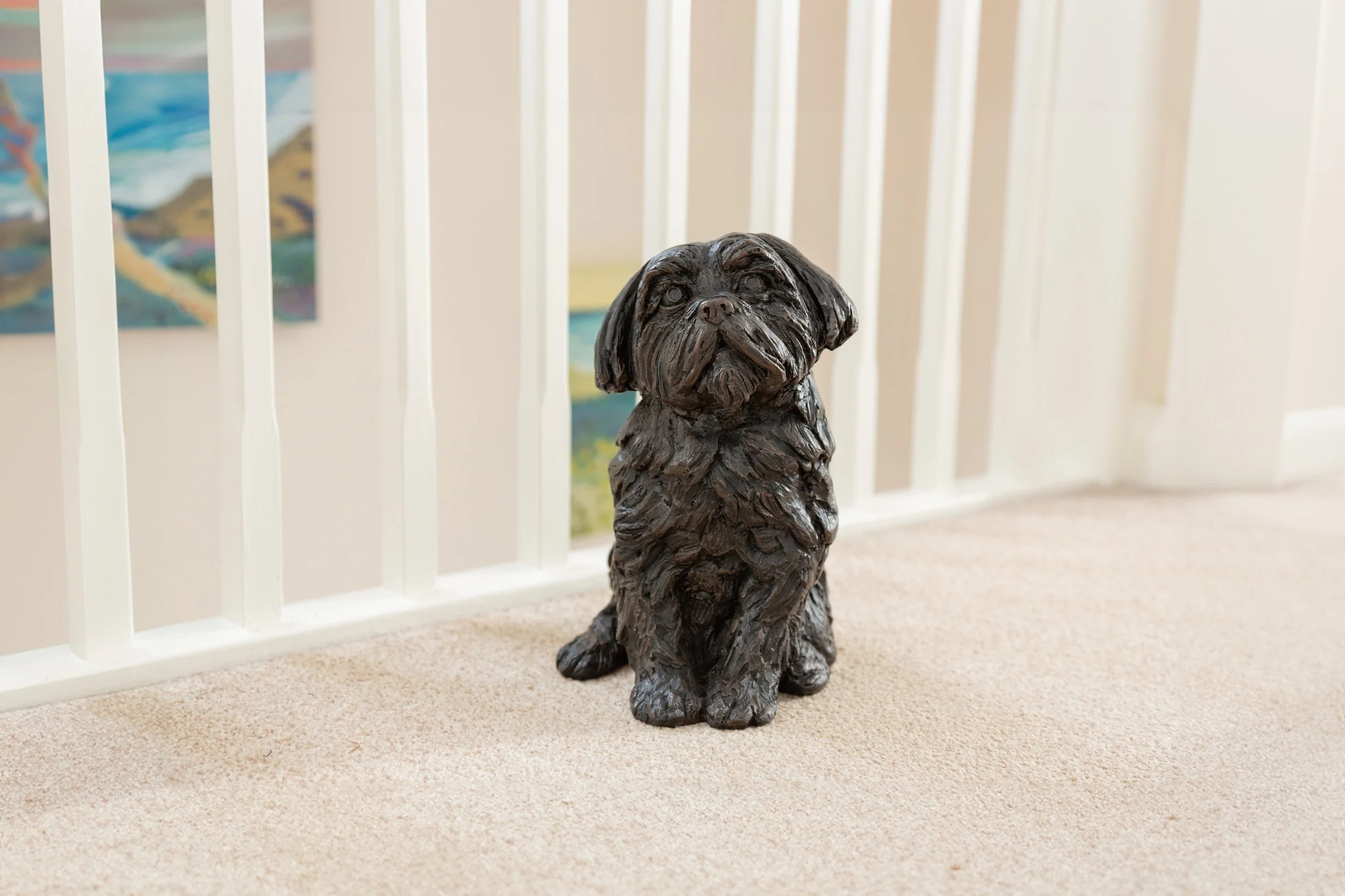 Shih-Tzu-01-Edit.jpg