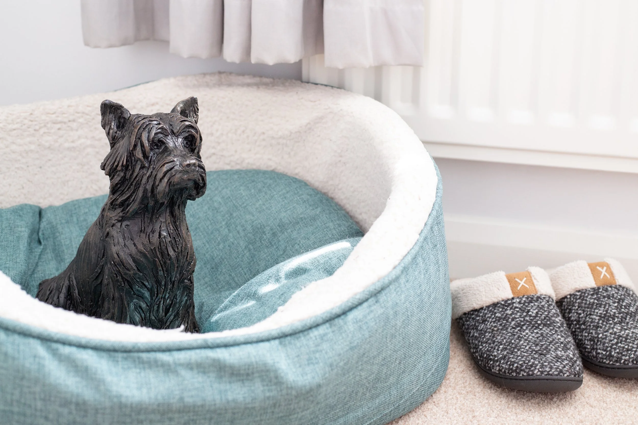 Yorkshire-Terrier-10.jpg