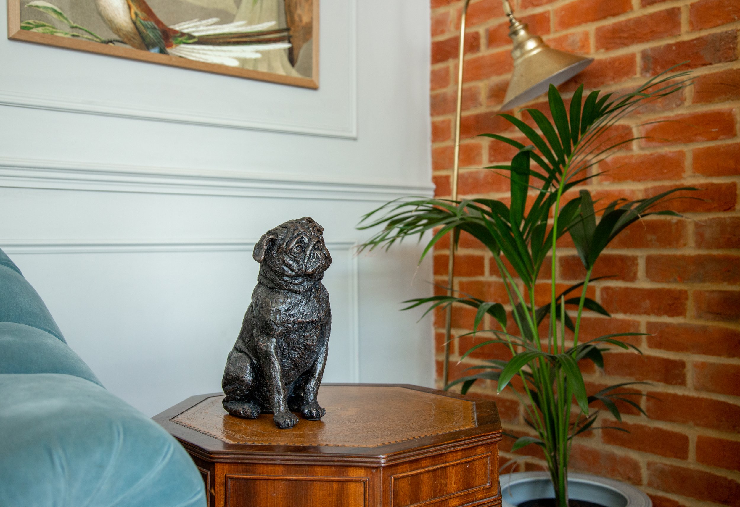 Pug-05.jpg