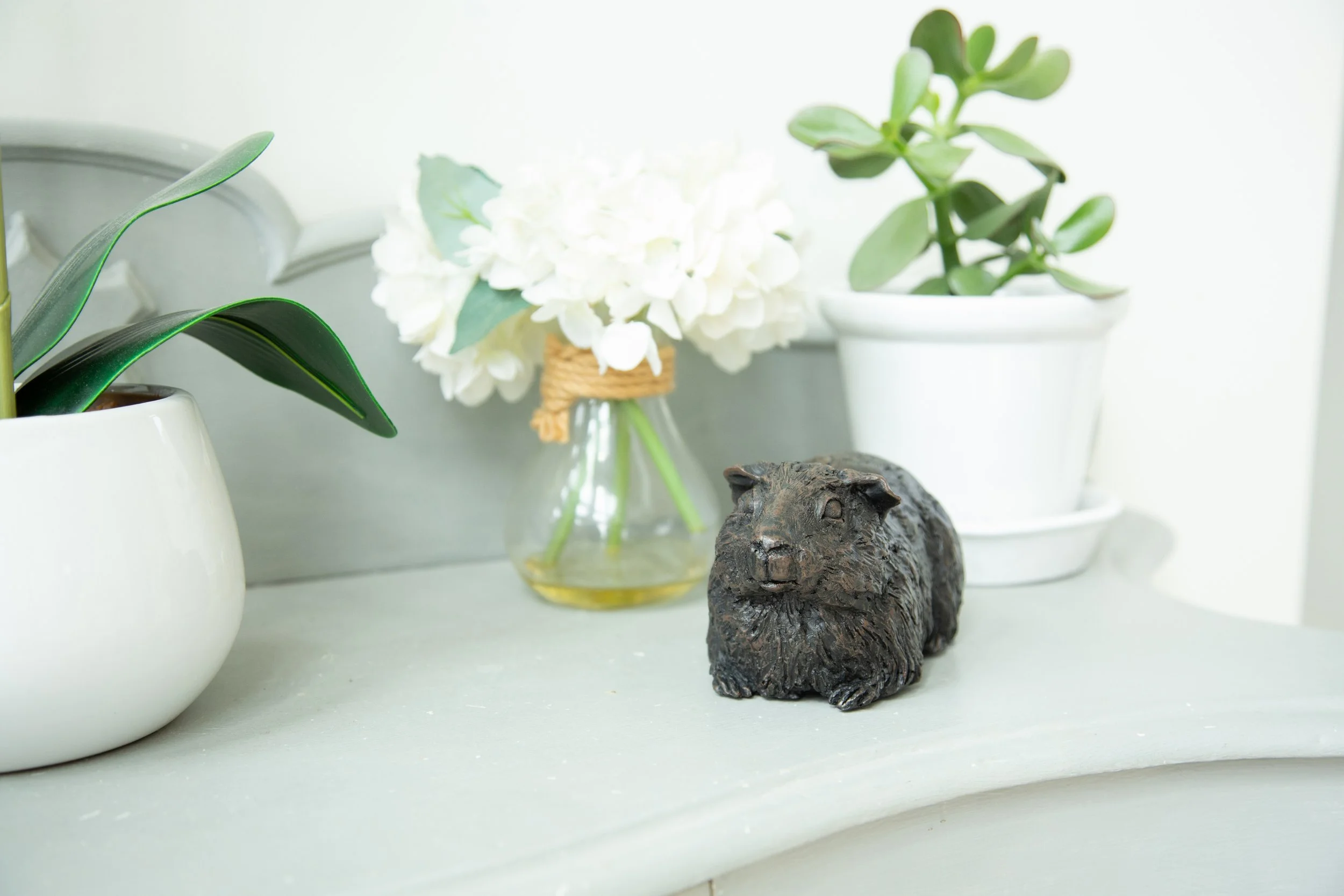 Guinea-Pig-01.jpg