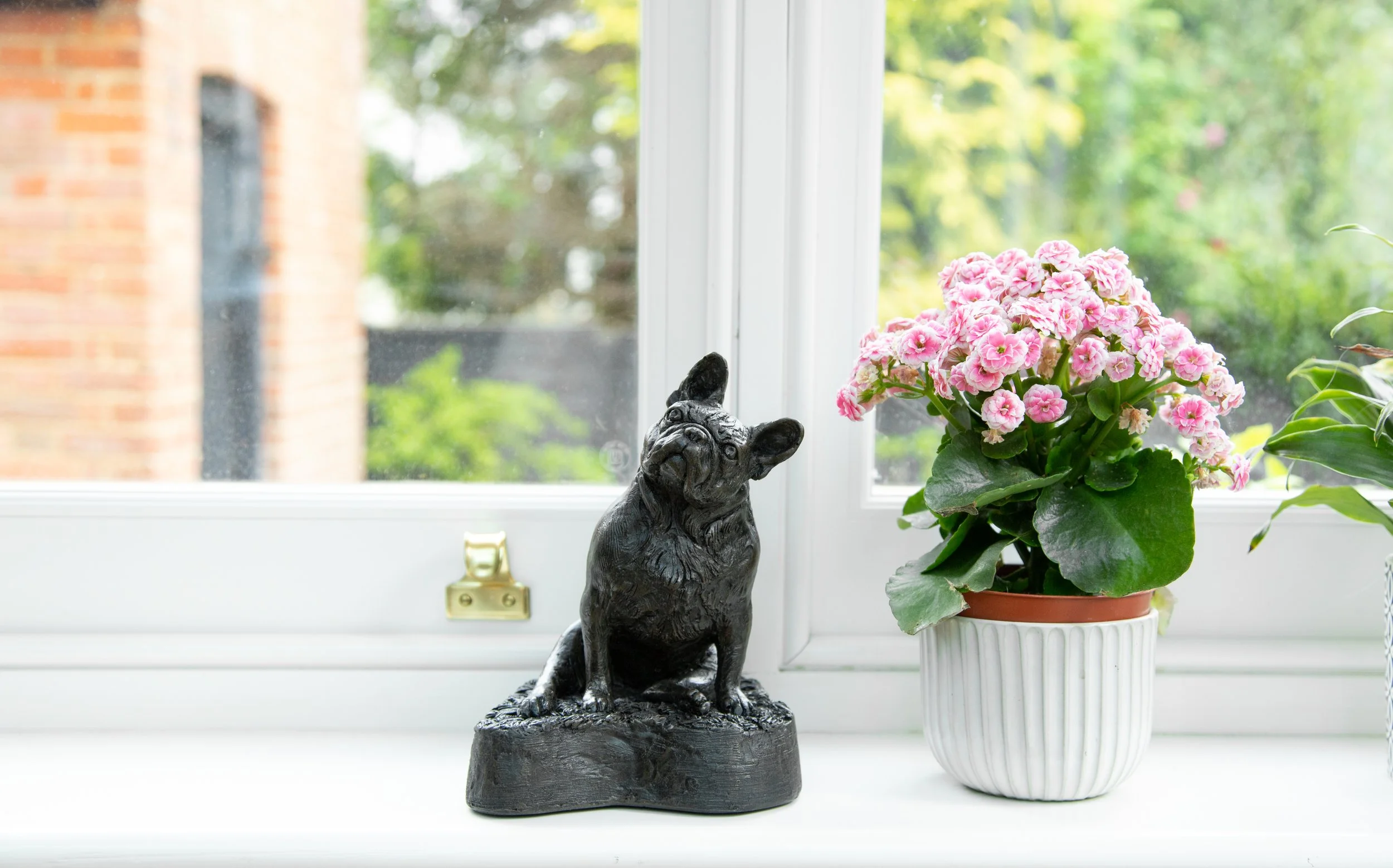 French-Bulldog-05.jpg