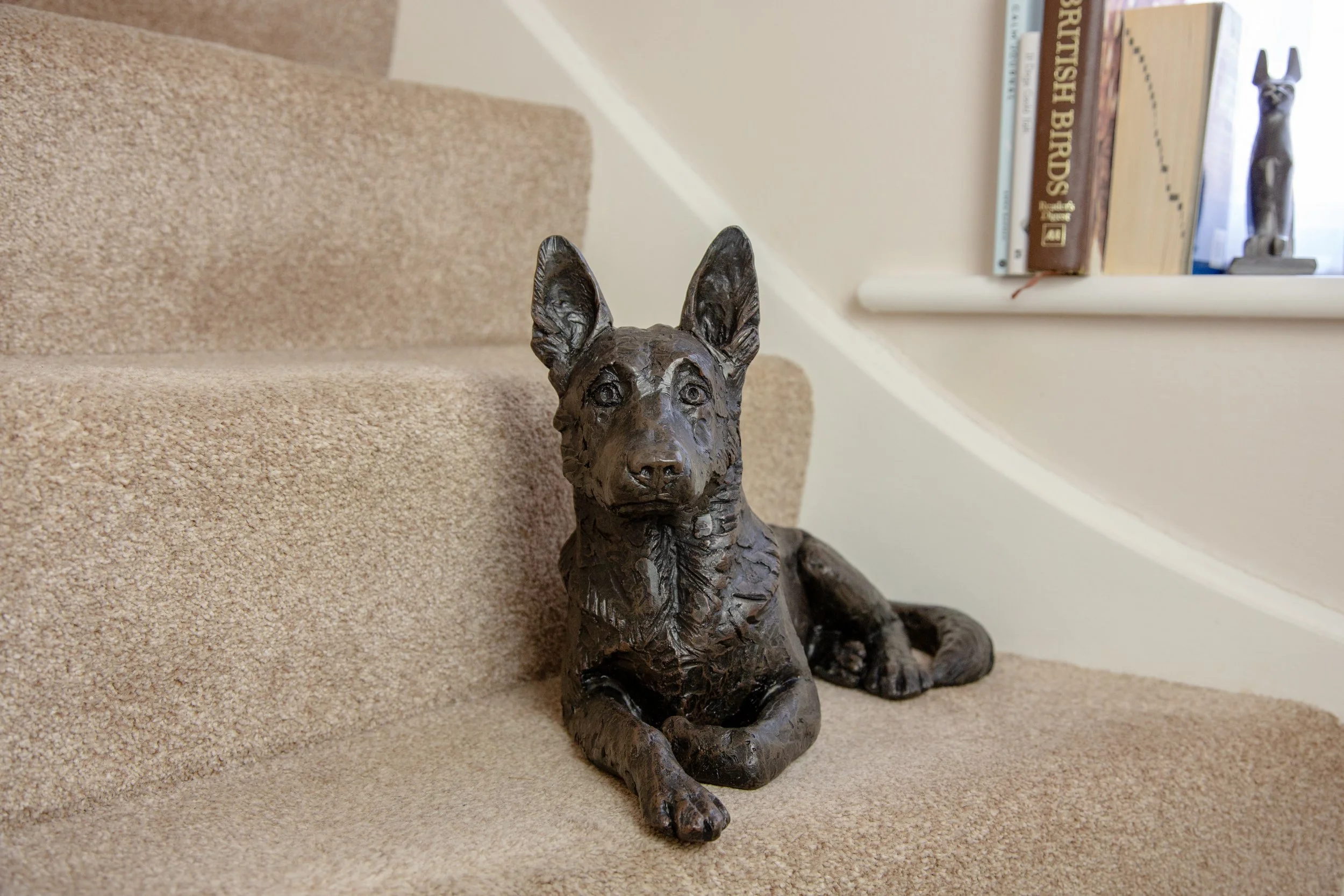 German-Shepherd-11.jpg