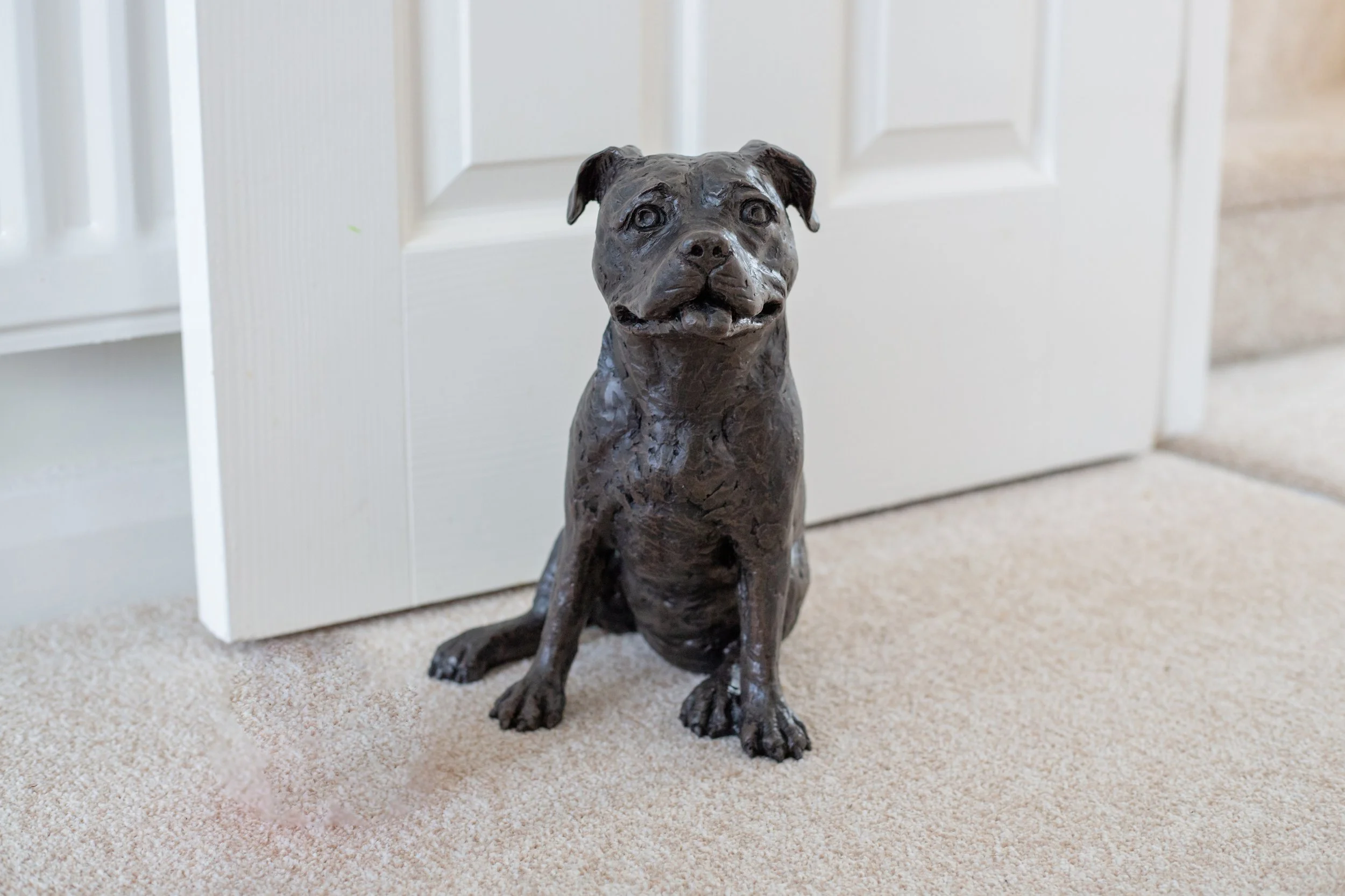 Staffordshire-Bull-Terrier-07-no ball.jpg