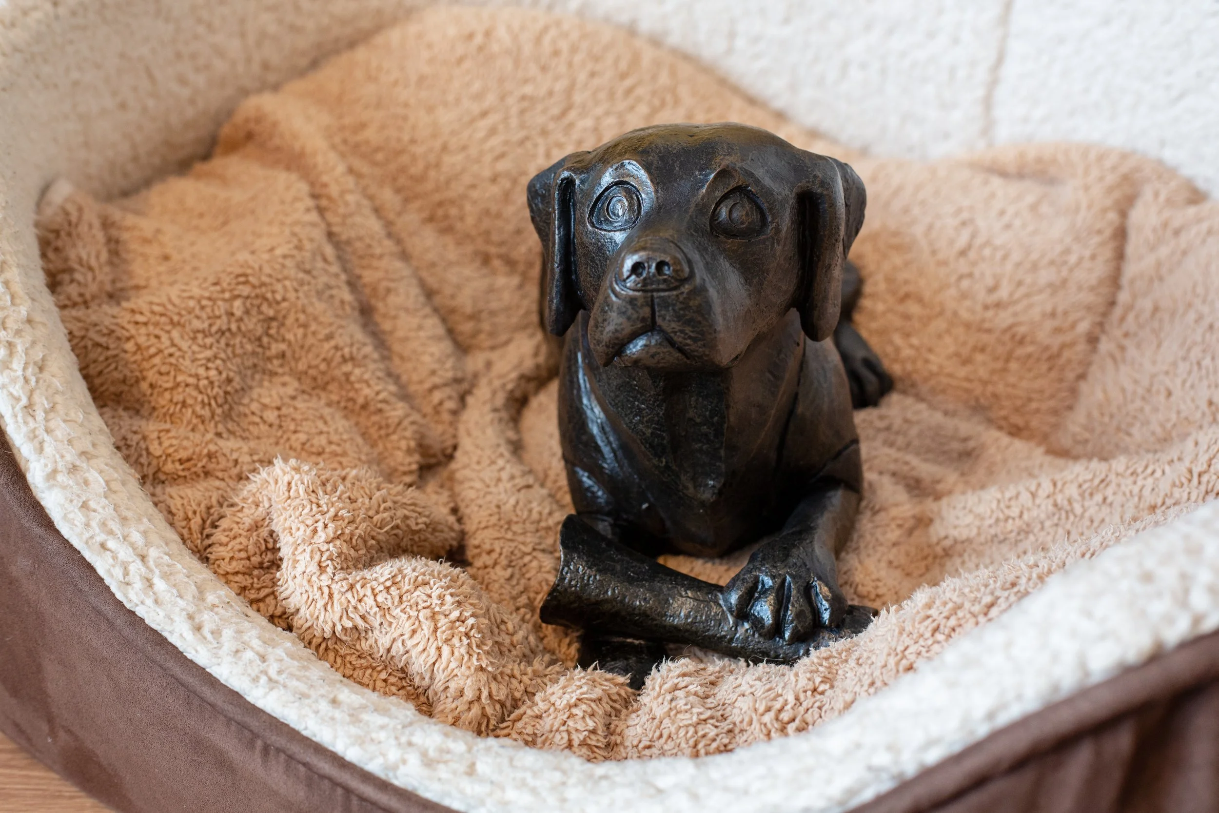 Dog-with-Bone-07.jpg
