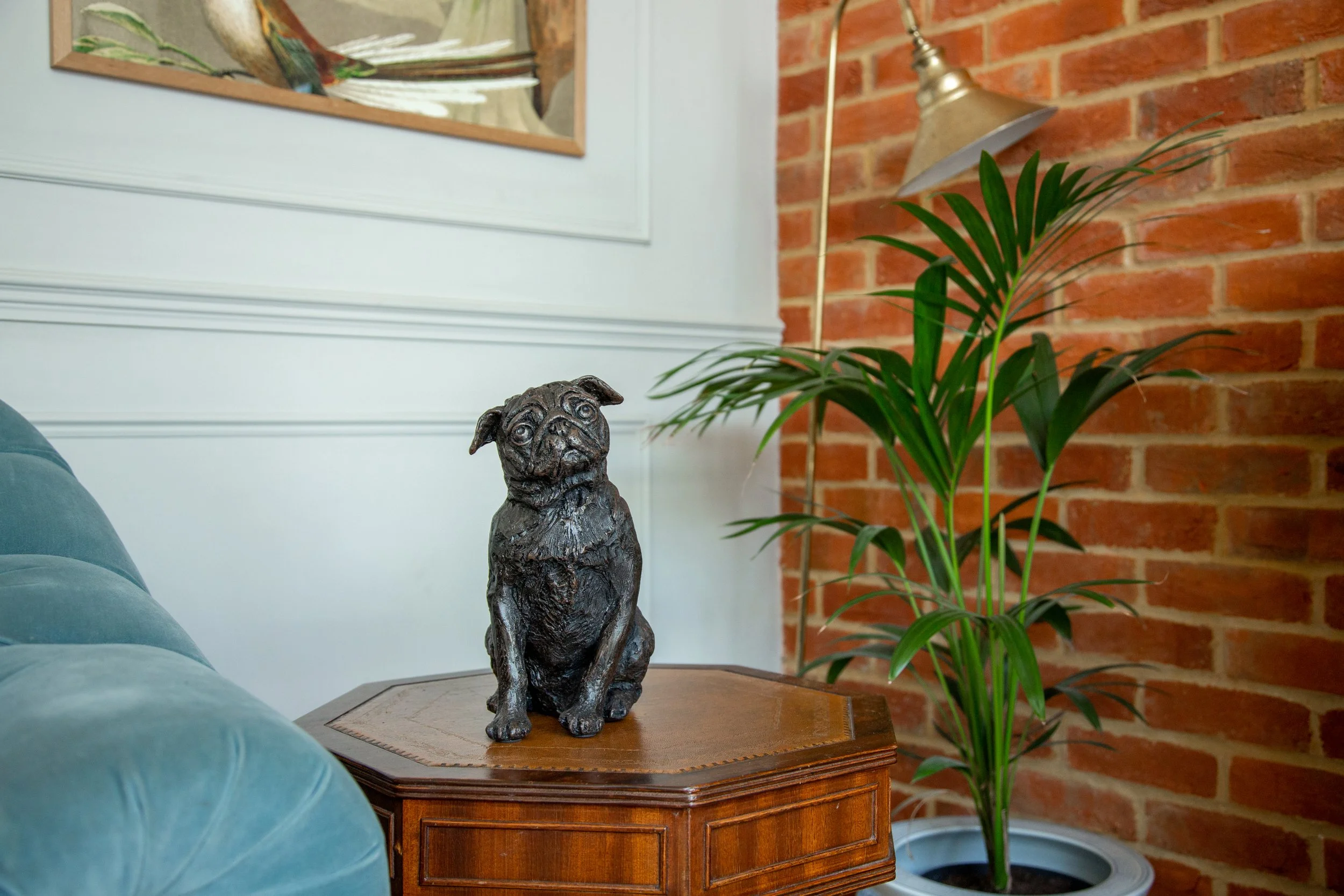 Pug-04.jpg