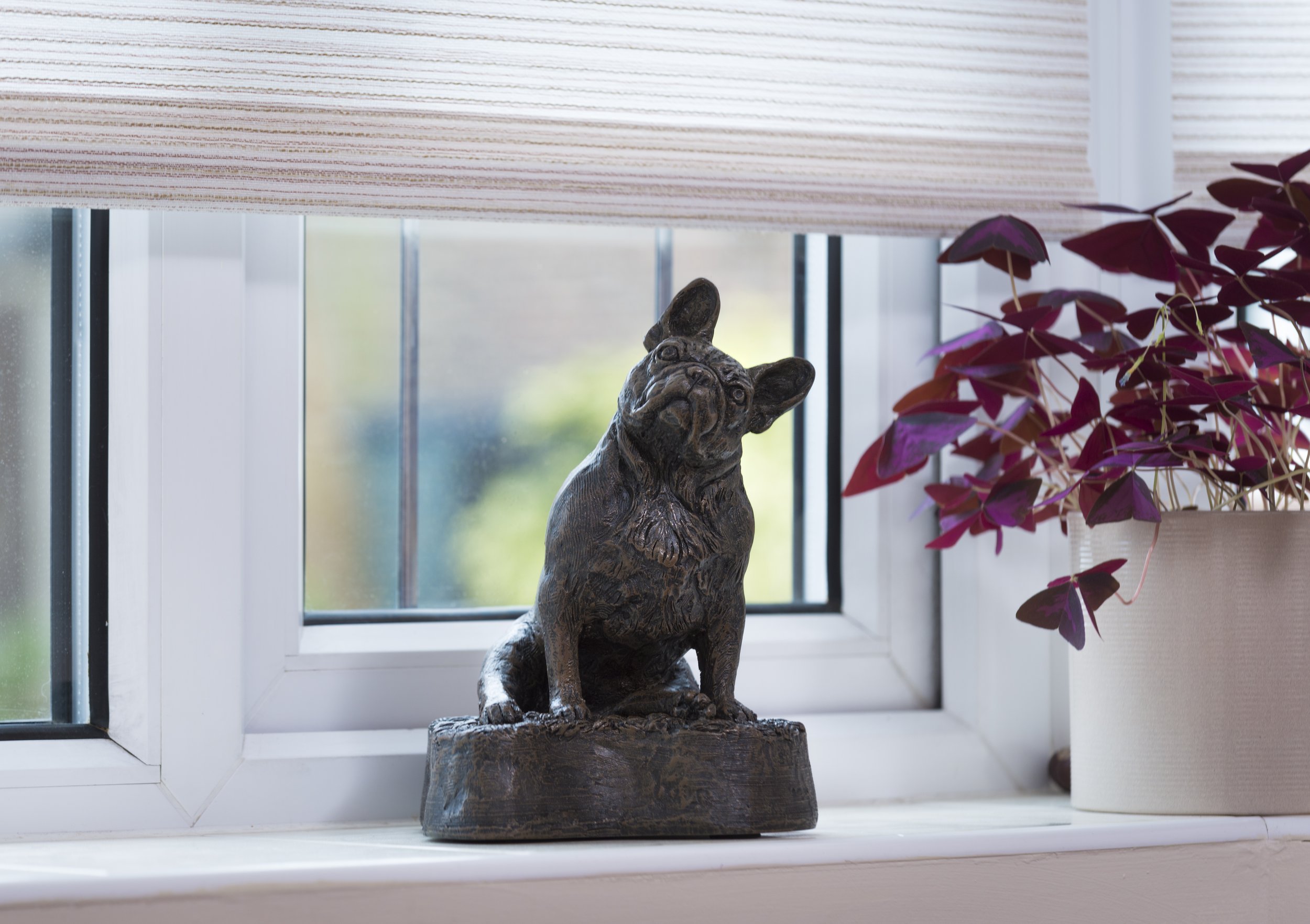 French-Bulldog-09.jpg