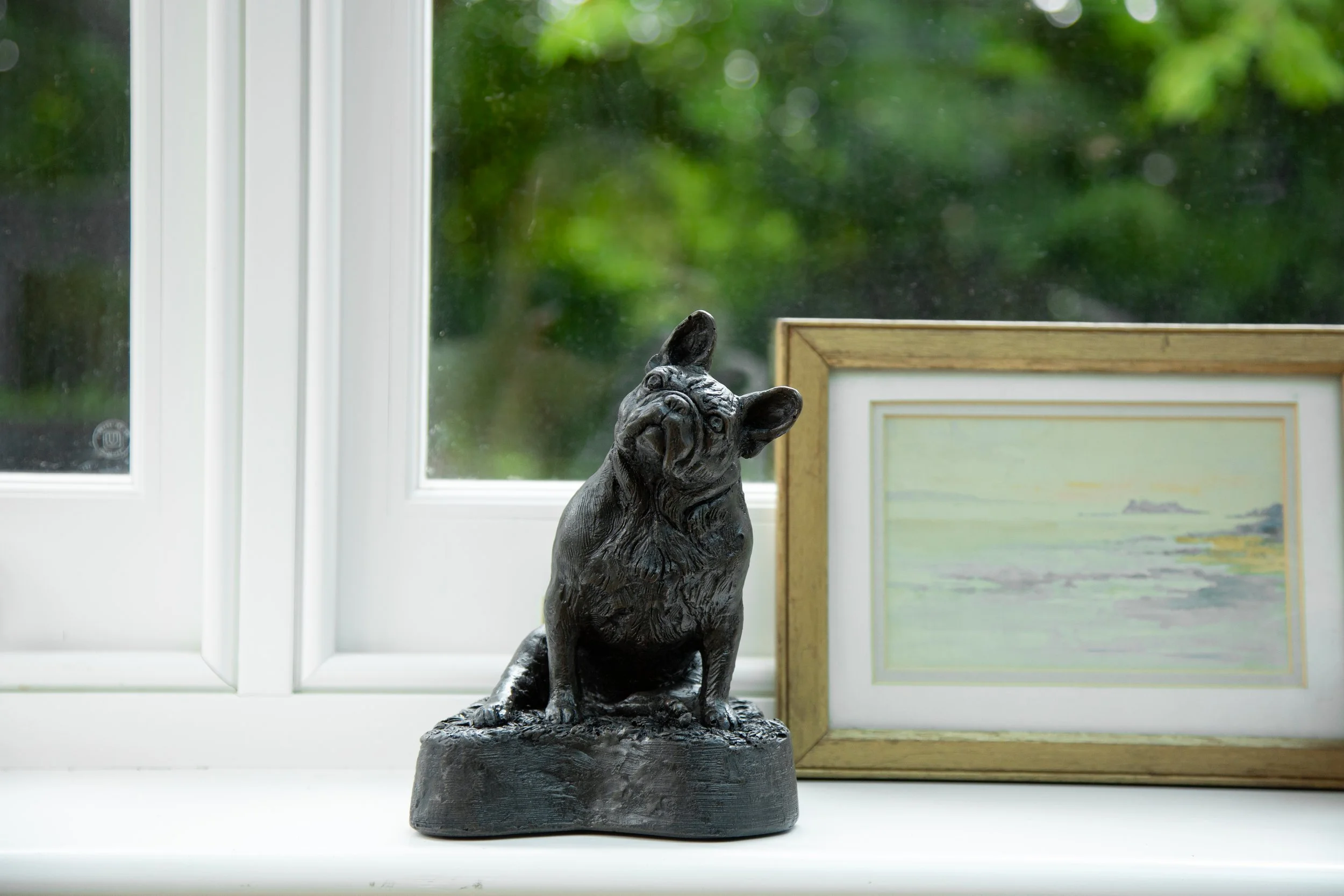French-Bulldog-06.jpg