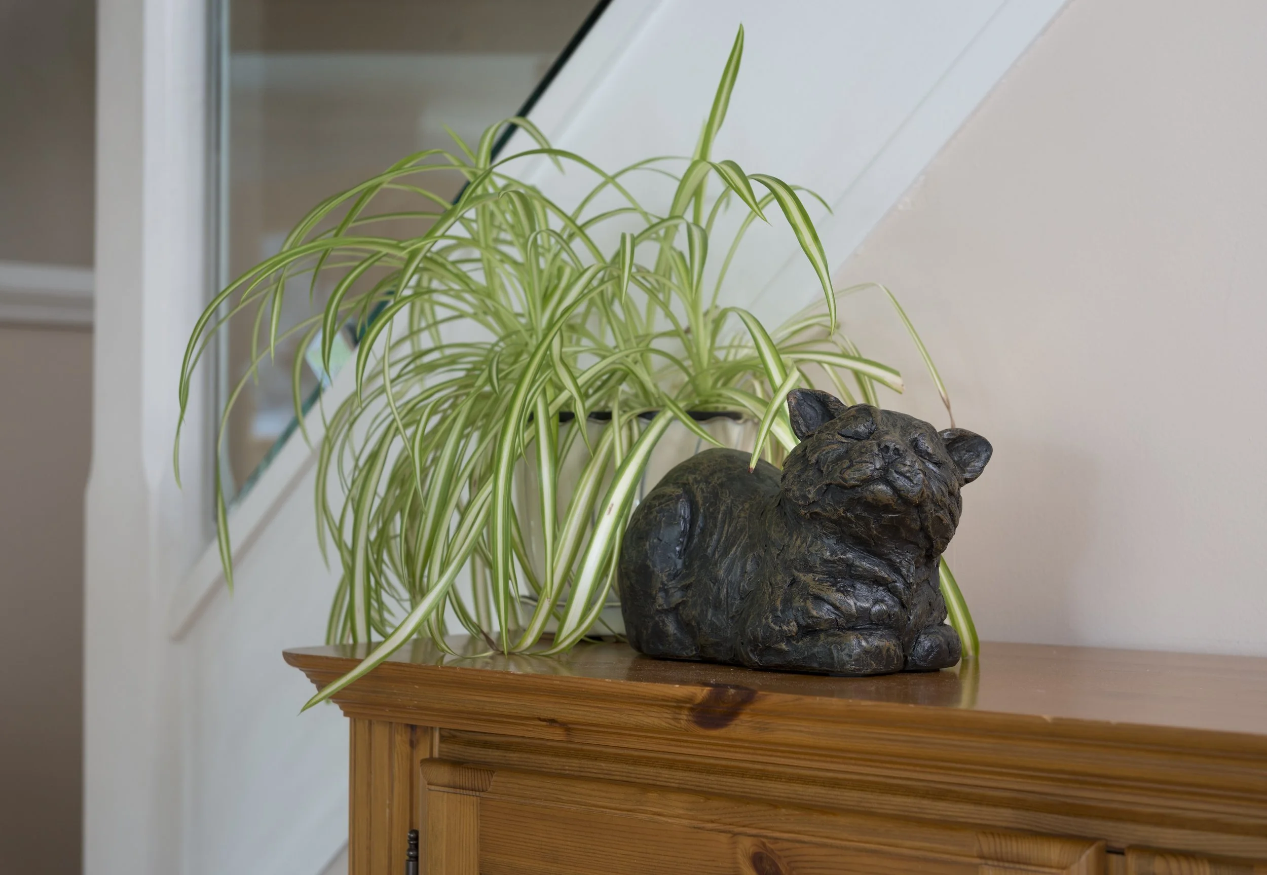 Contended Cat Urn