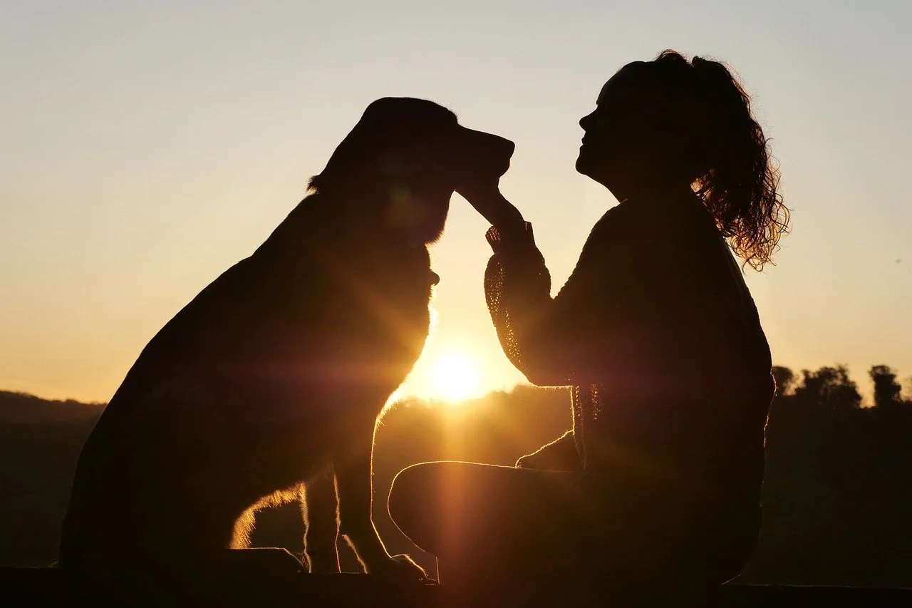 Silhouette of a woman and a dog touching noses at sunset