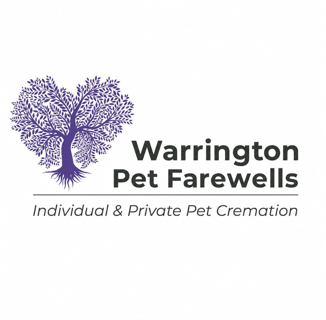 Same-Day Pet Collection in Warrington: What to Expect