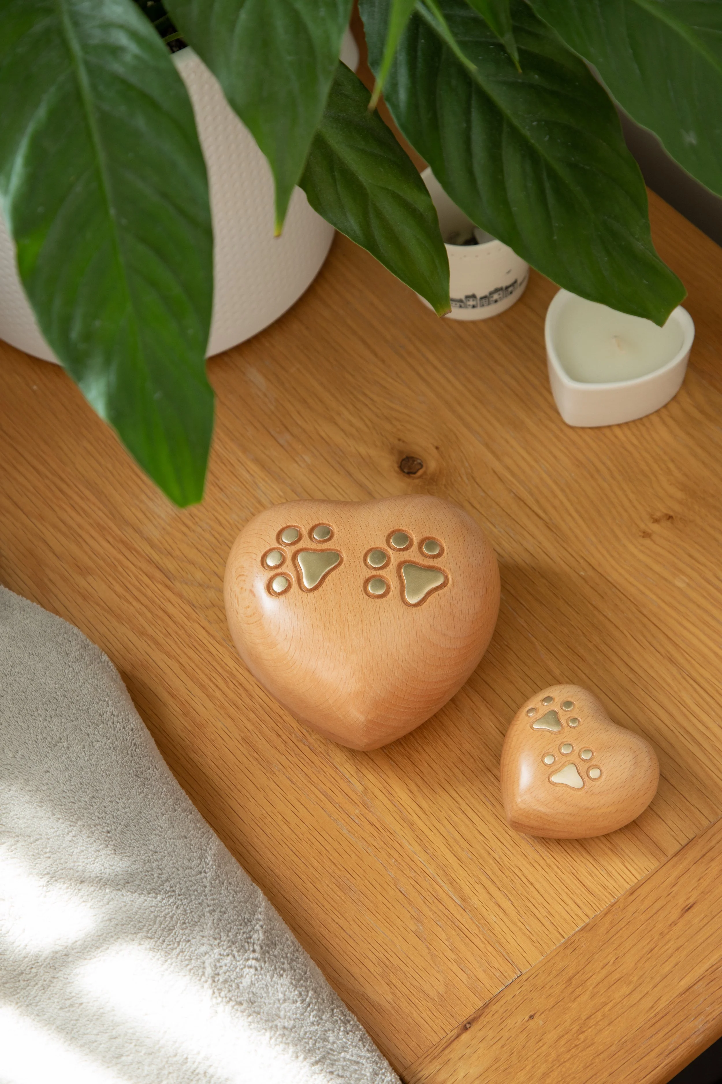 Close-up of a wooden surface with three wooden lose paw print shapes with cutouts, a large green leafy plant in white pots, and a white candle in a small white container.