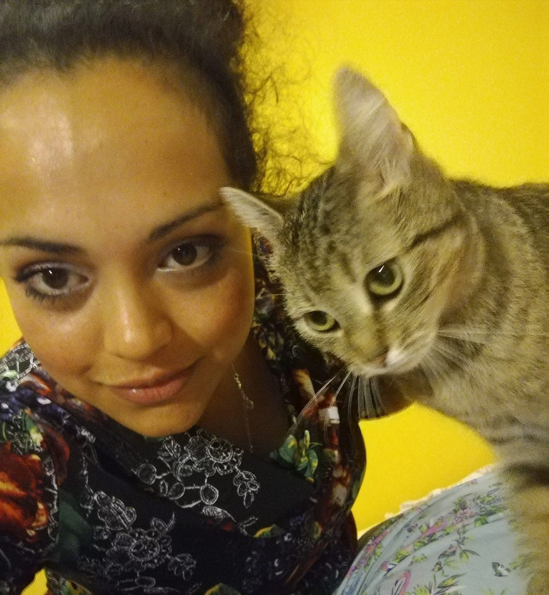 Close-up of a young girl with black hair and brown complexion, smiling, beside a tabby kitten with striped fur, set against a yellow background. She is wearing a colorful dress with a floral pattern.