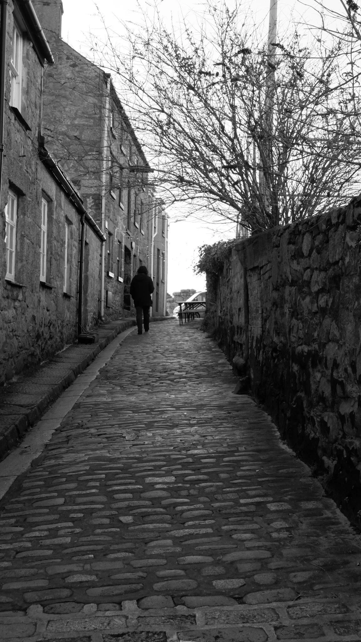 A person walking along a cobblestone street with stone buildings on the left and a stone wall with a tangled tree on the right, in black and white.