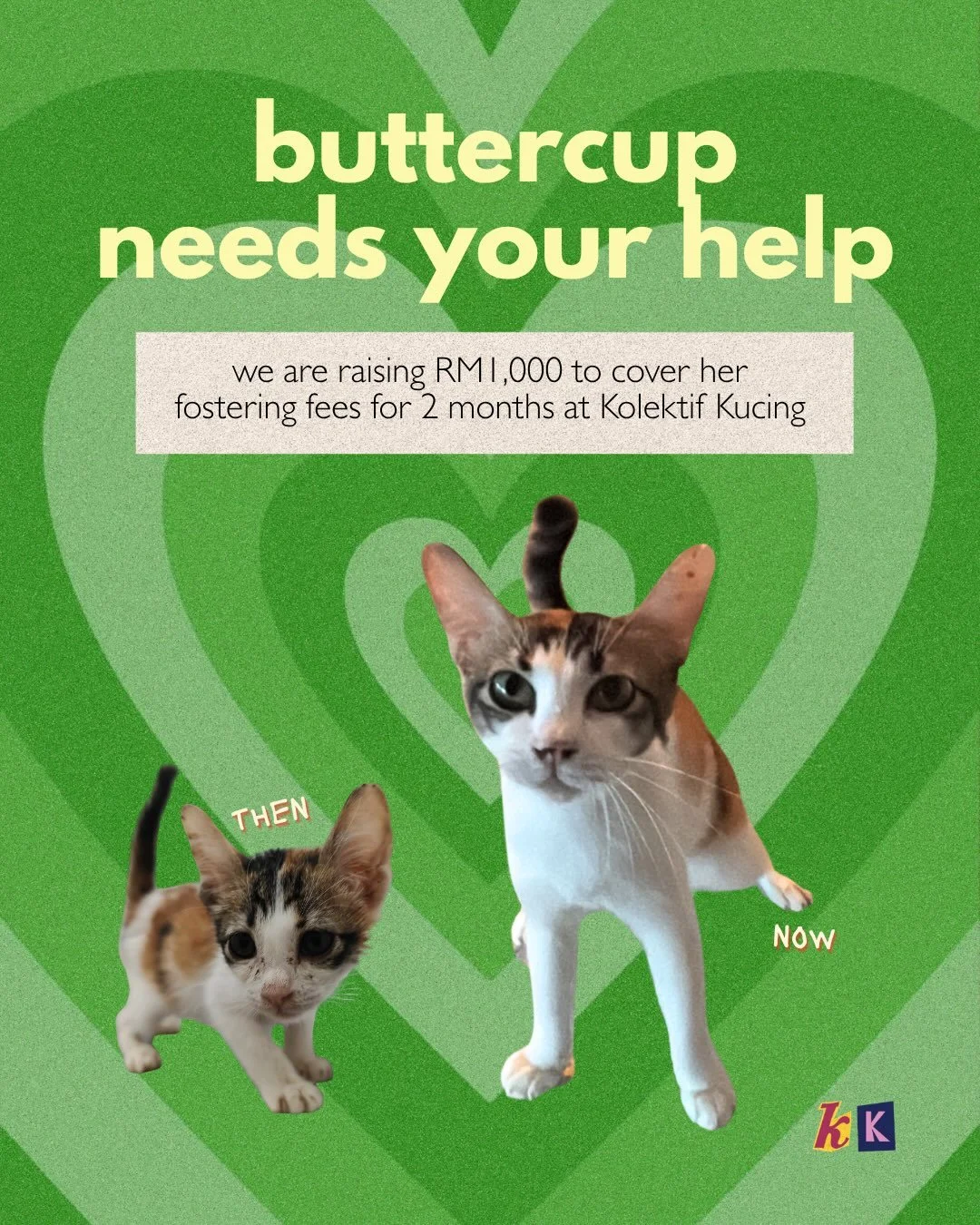 buttercup is just a (powerpuff) girl 💫 and she needs your help! this week, we&rsquo;re helping her rescuer raise funds to extend her stay at kolektif kucing.

to sponsor, please use the link in our bio <3
