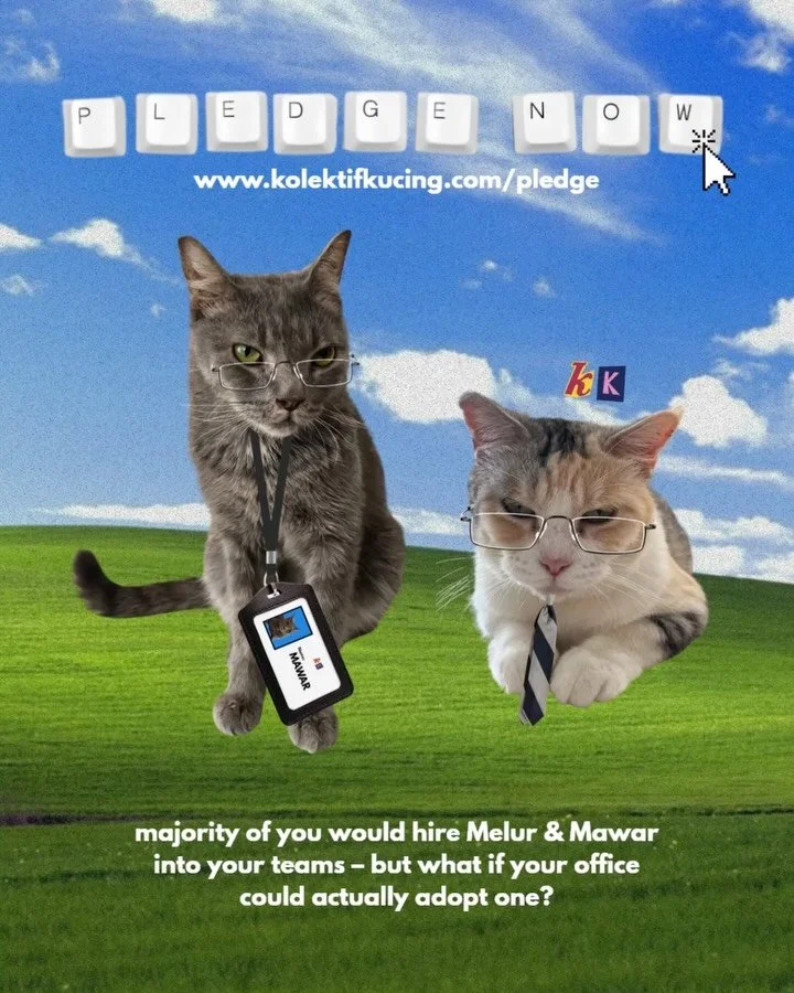 the votes are in! mawar &amp; melur tied as the most &ldquo;hirable&rdquo; pawfessional 💼

it&rsquo;s been a week since we started this campaign, and we&rsquo;ve gotten 11 pledges.. any office with at least 10 pledges stand a chance to adopt a cat f