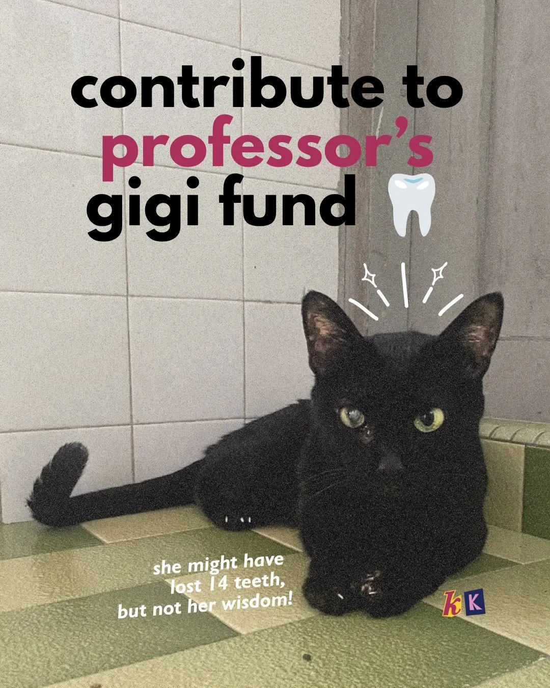 real ones know who professor is ❤️ our why - why we started, and why we can never shut down (cus where would she go?)

after a year with us we were advised to do a full dental extraction to help professor live a more comfortable, painless life. it&rs