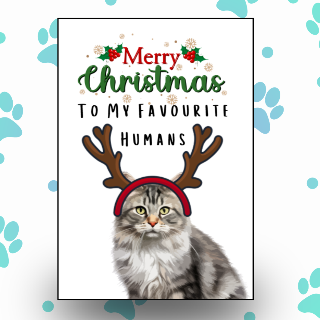 Merry Christmas From The Cat Card 8.png