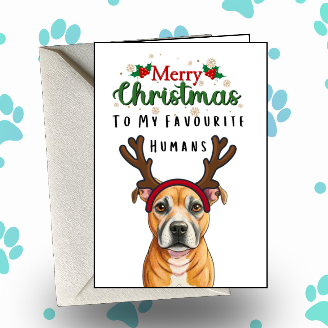 Merry Christmas From The Dog Christmas Card Cat or Dogs Custom Picture Of Your Pet