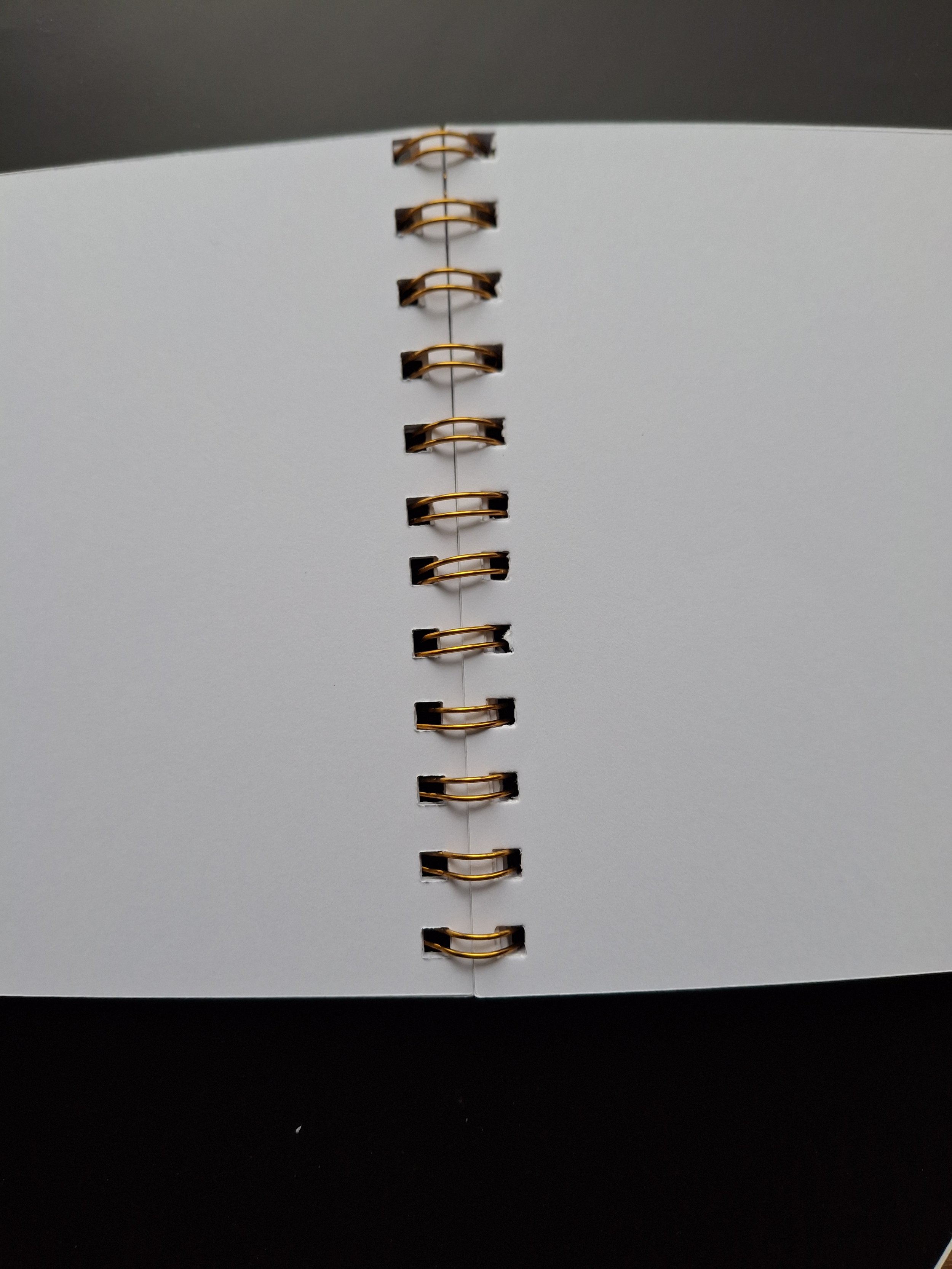 Resident Evil 4 Notebook 5.jpg