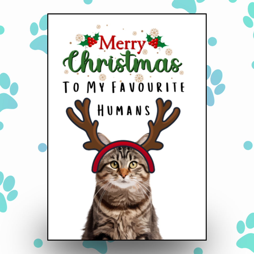 Merry Christmas From The Cat Card 7.png