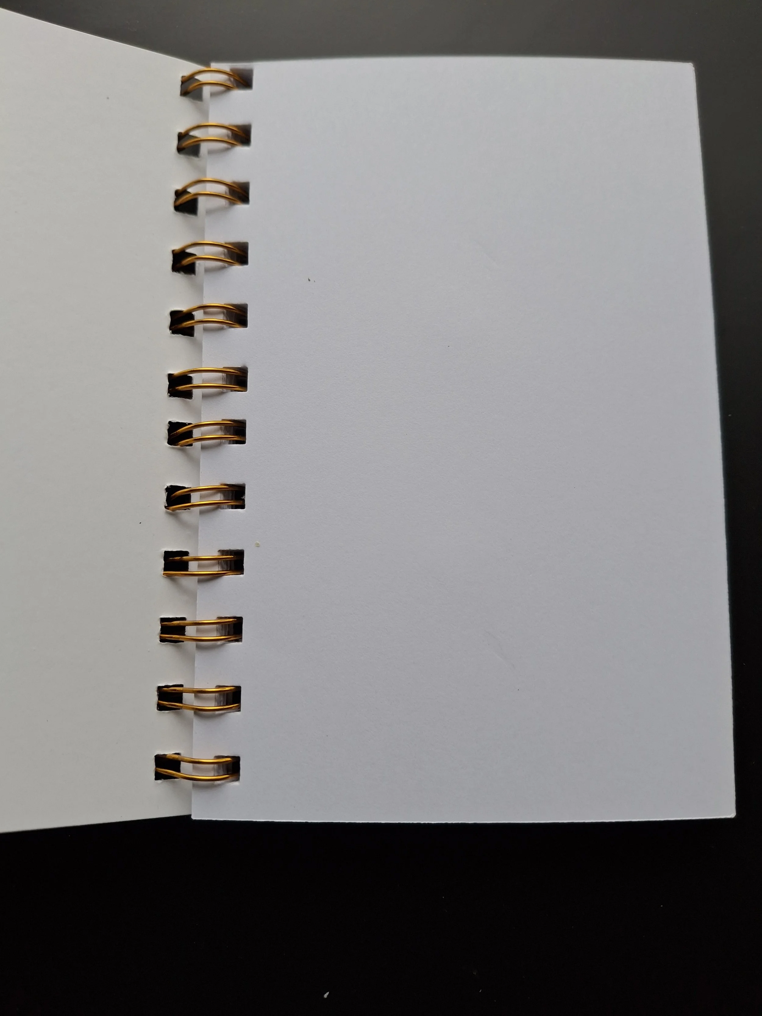 Resident Evil 4 Notebook 2.jpg