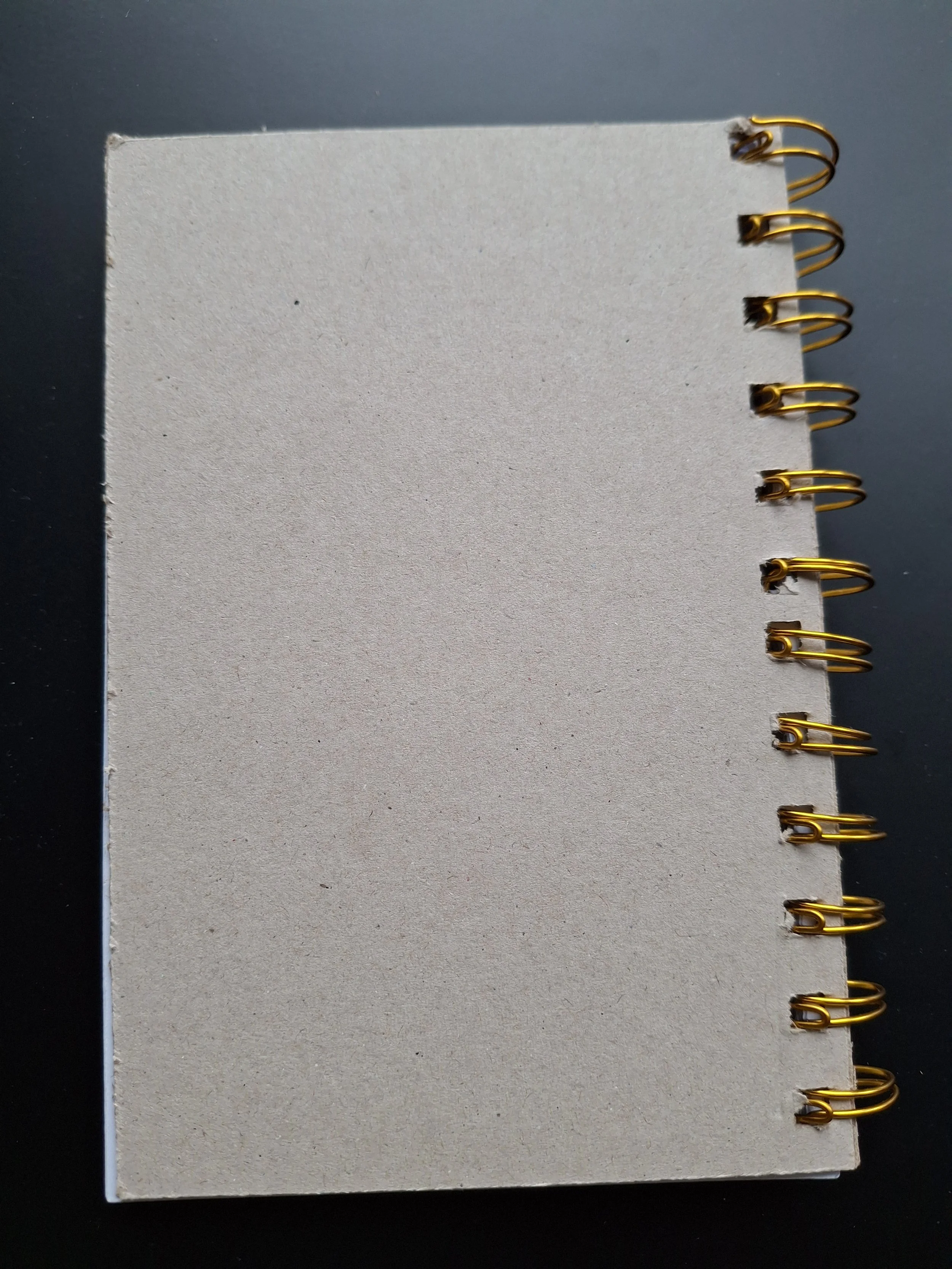 Resident Evil 4 Notebook 4.jpg