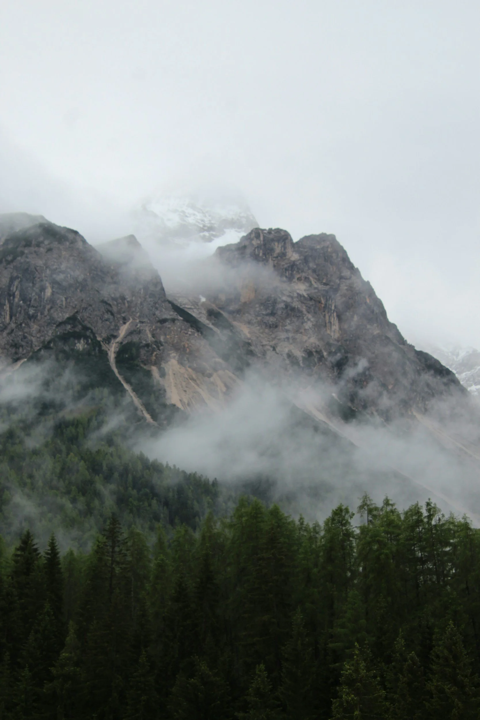 A mountain landscape with rocky peaks partially covered in snow, surrounded by mist and a dense green forest at the base.