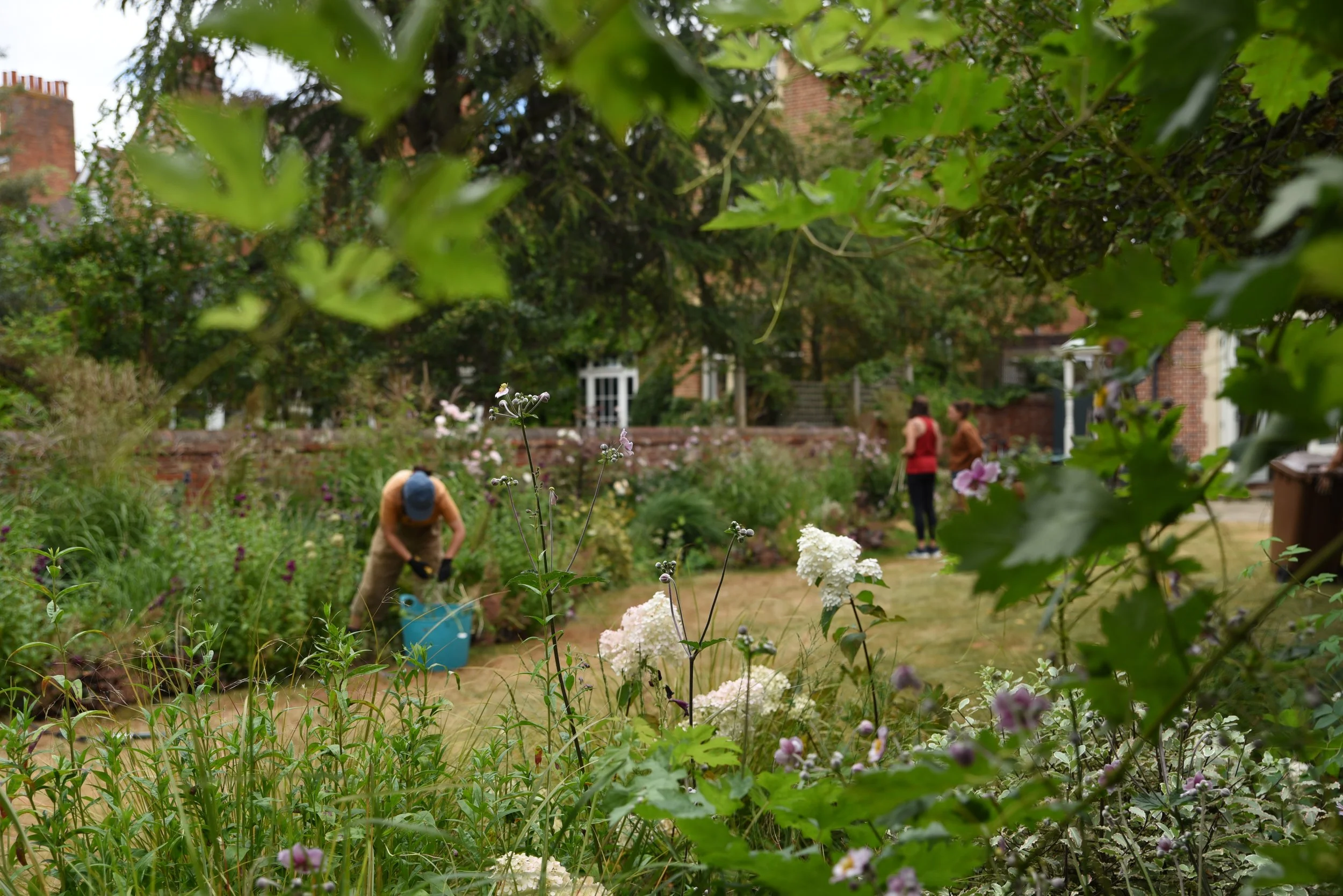 People working in a garden with flowers and greenery in front of brick houses.