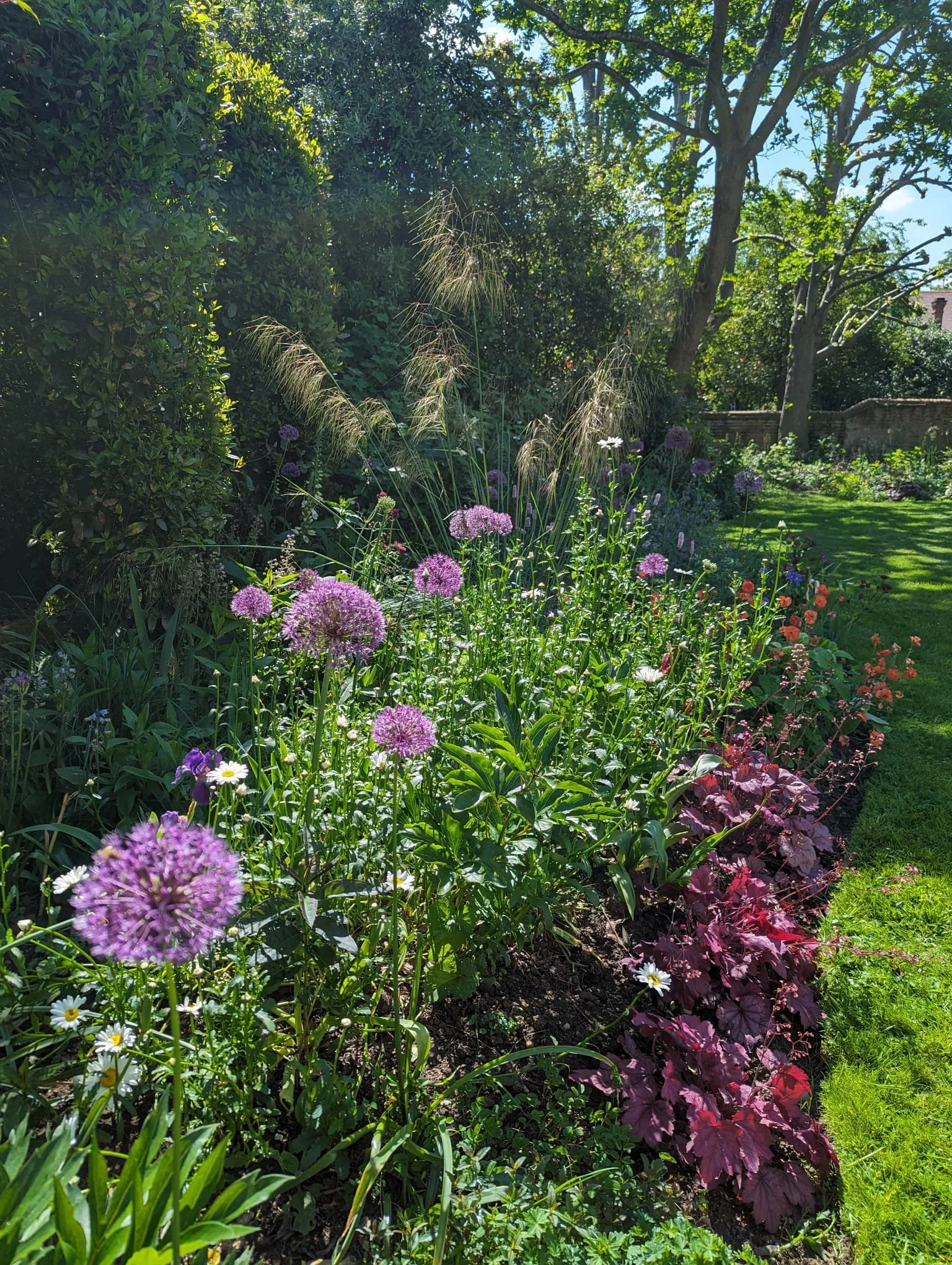 Summertown Garden Border Re-Design