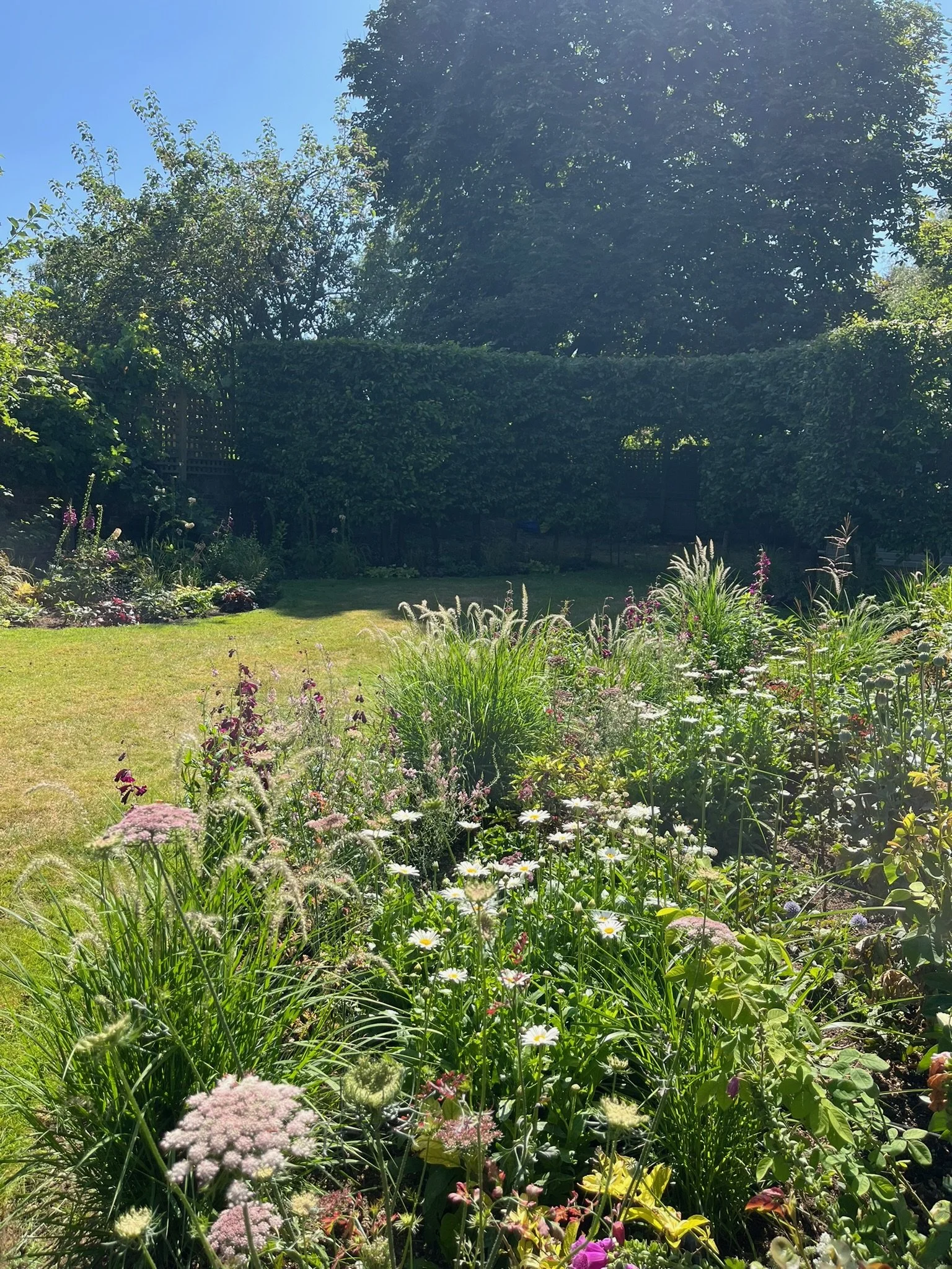 Summertown Oxford Garden