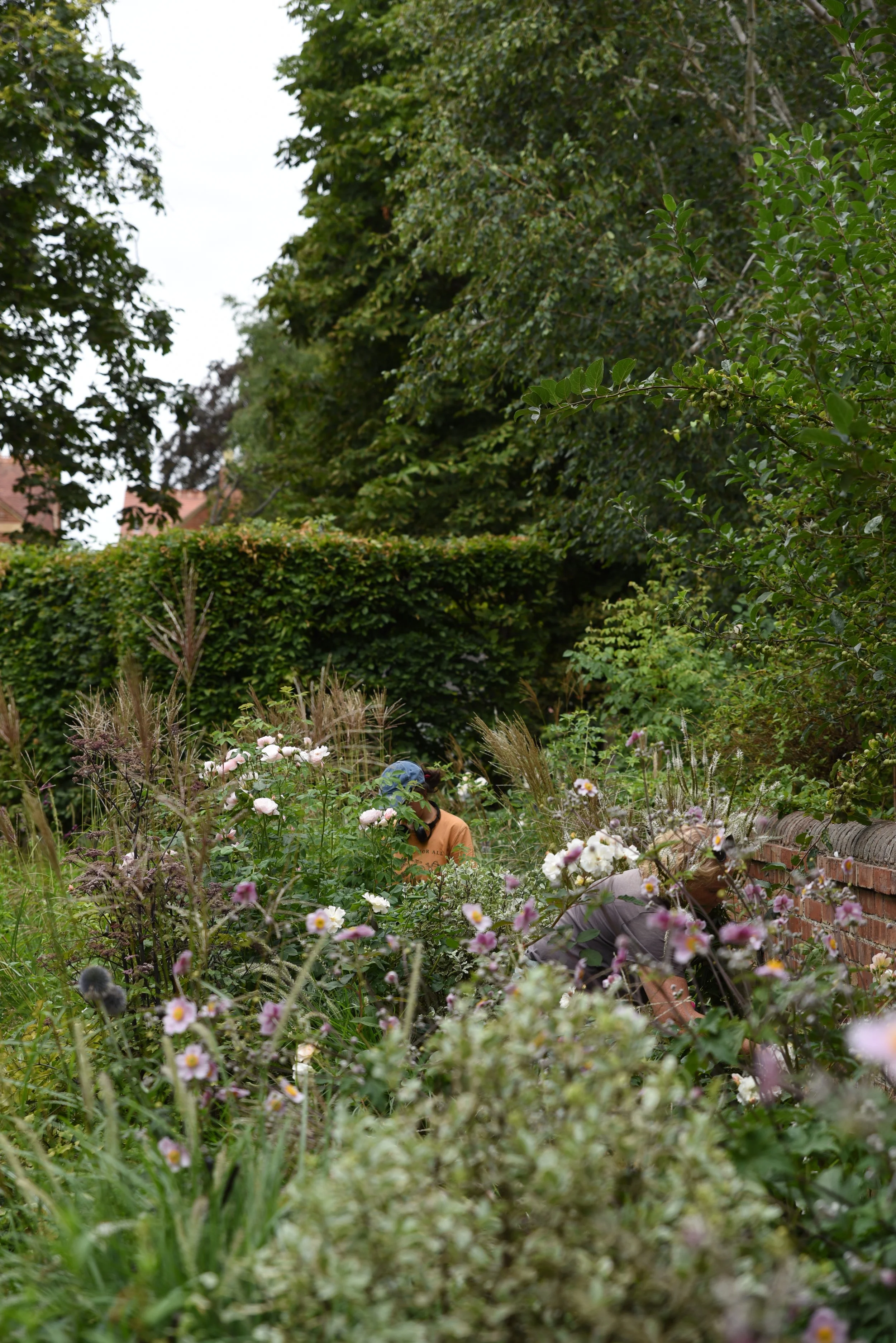 People gardening in a lush backyard full of flowers, shrubs, and greenery.