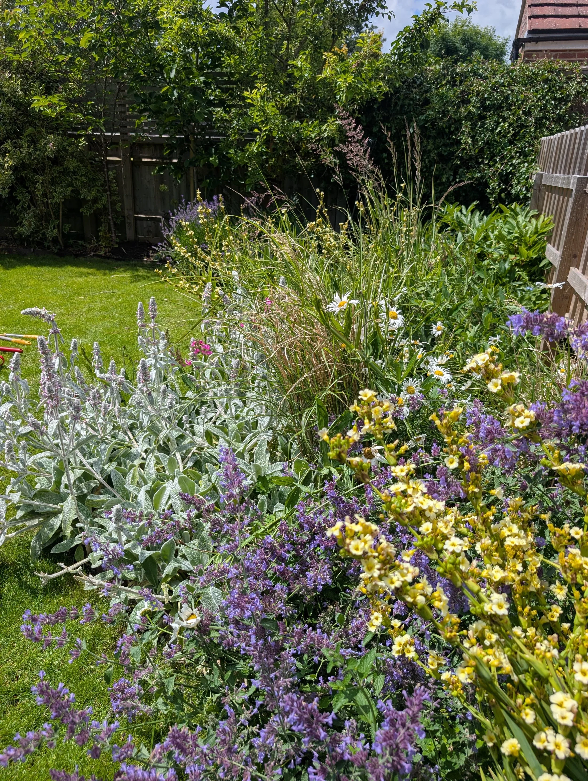 Central Oxford Garden Re-Design