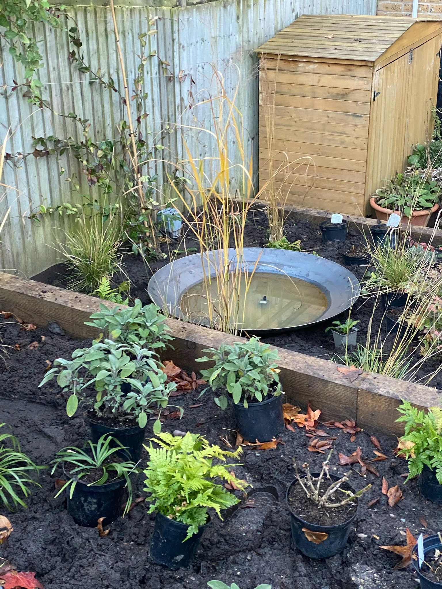 Sloped, Terraced Cowley Garden