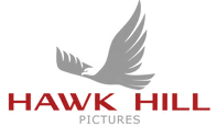 Hawk Hill Pictures logo v2 lighter gray.png