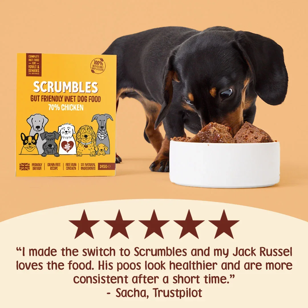 WDC-3-REVIEW.webp