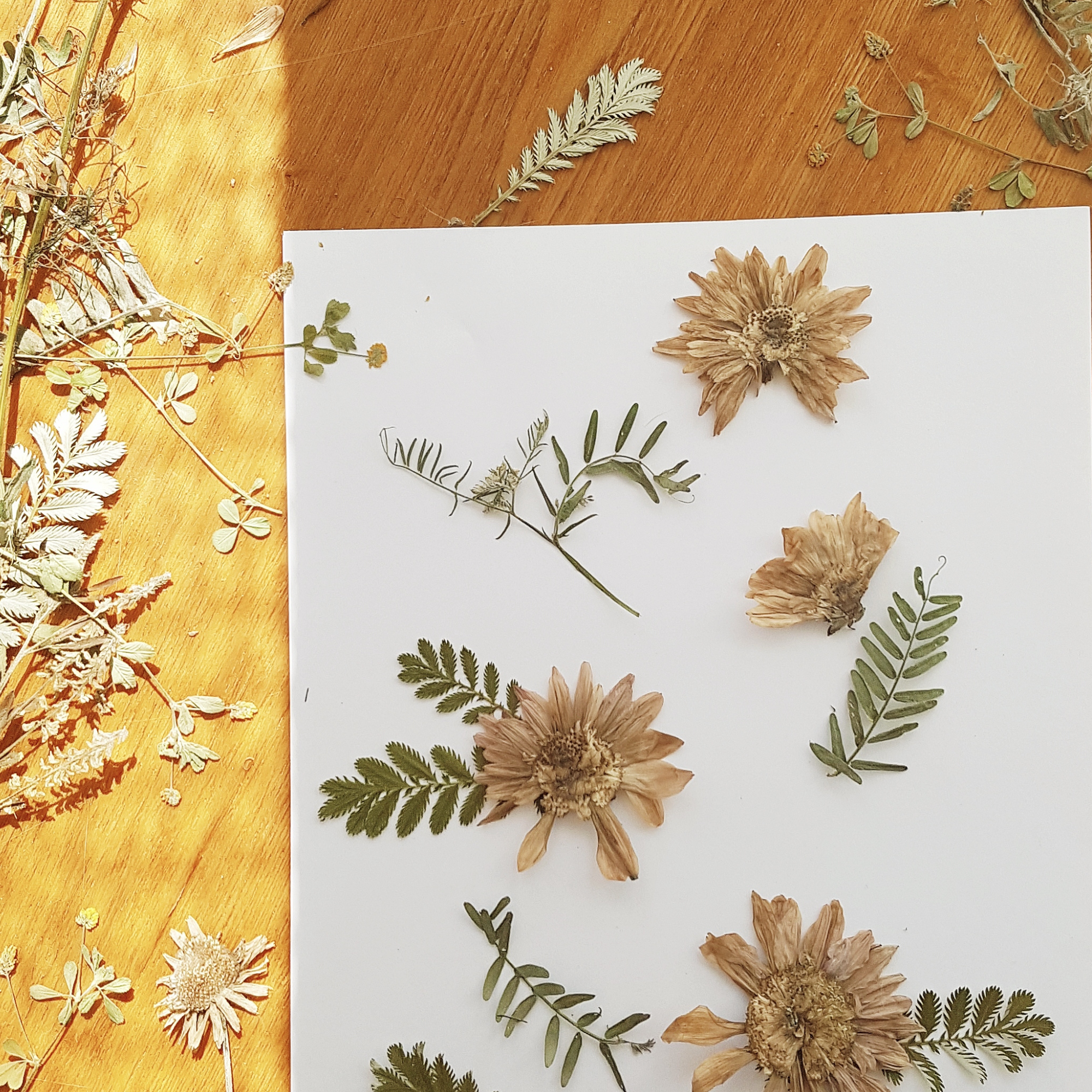 Autumn- Creative Art Journal Series