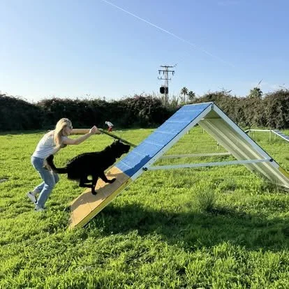 Person and dog playing on an agility ramp outside.