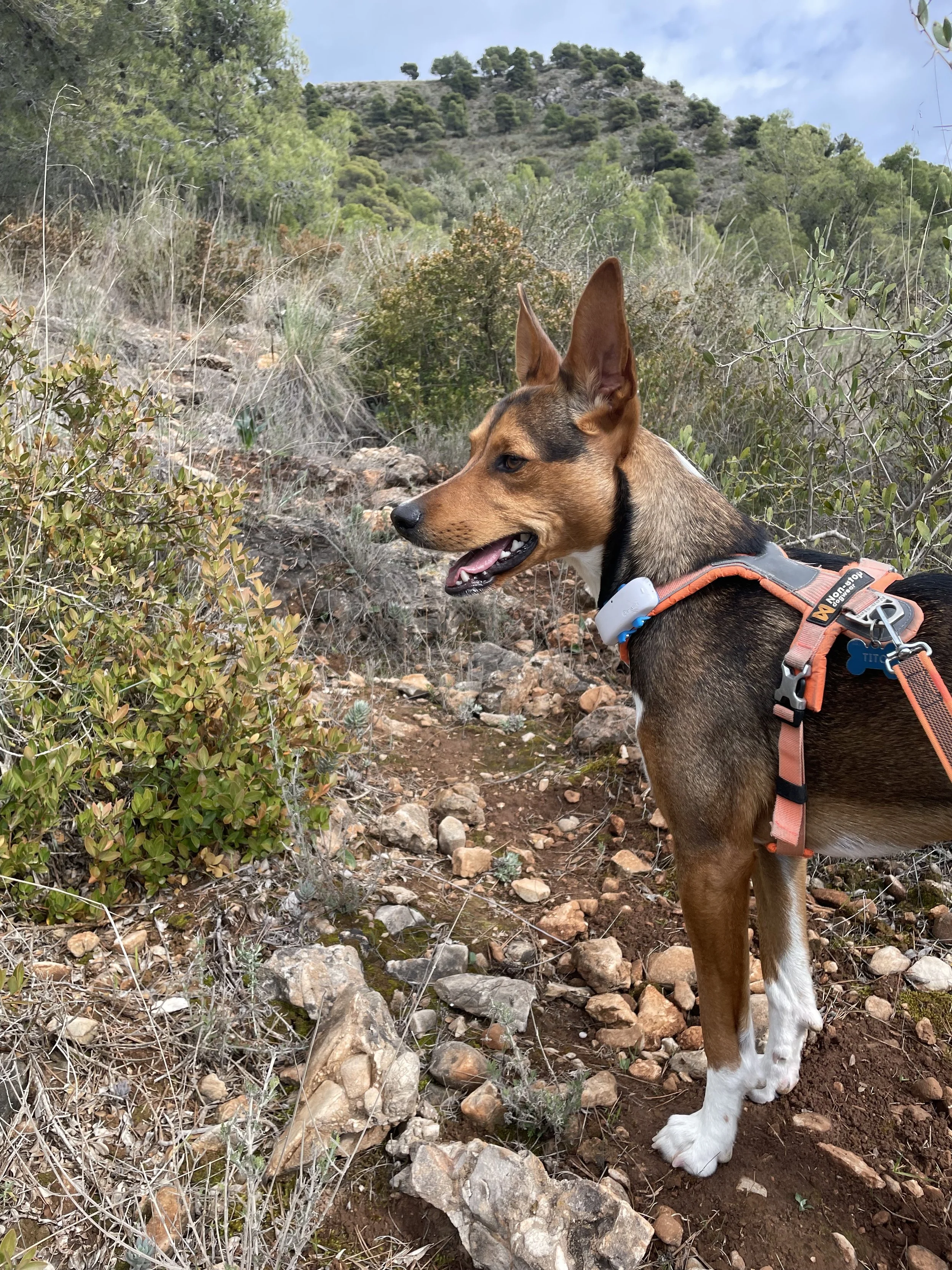 Adventure Trail