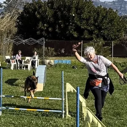 A woman participating in an agility dog training event, guiding a German Shepherd through an obstacle course on a grassy field.