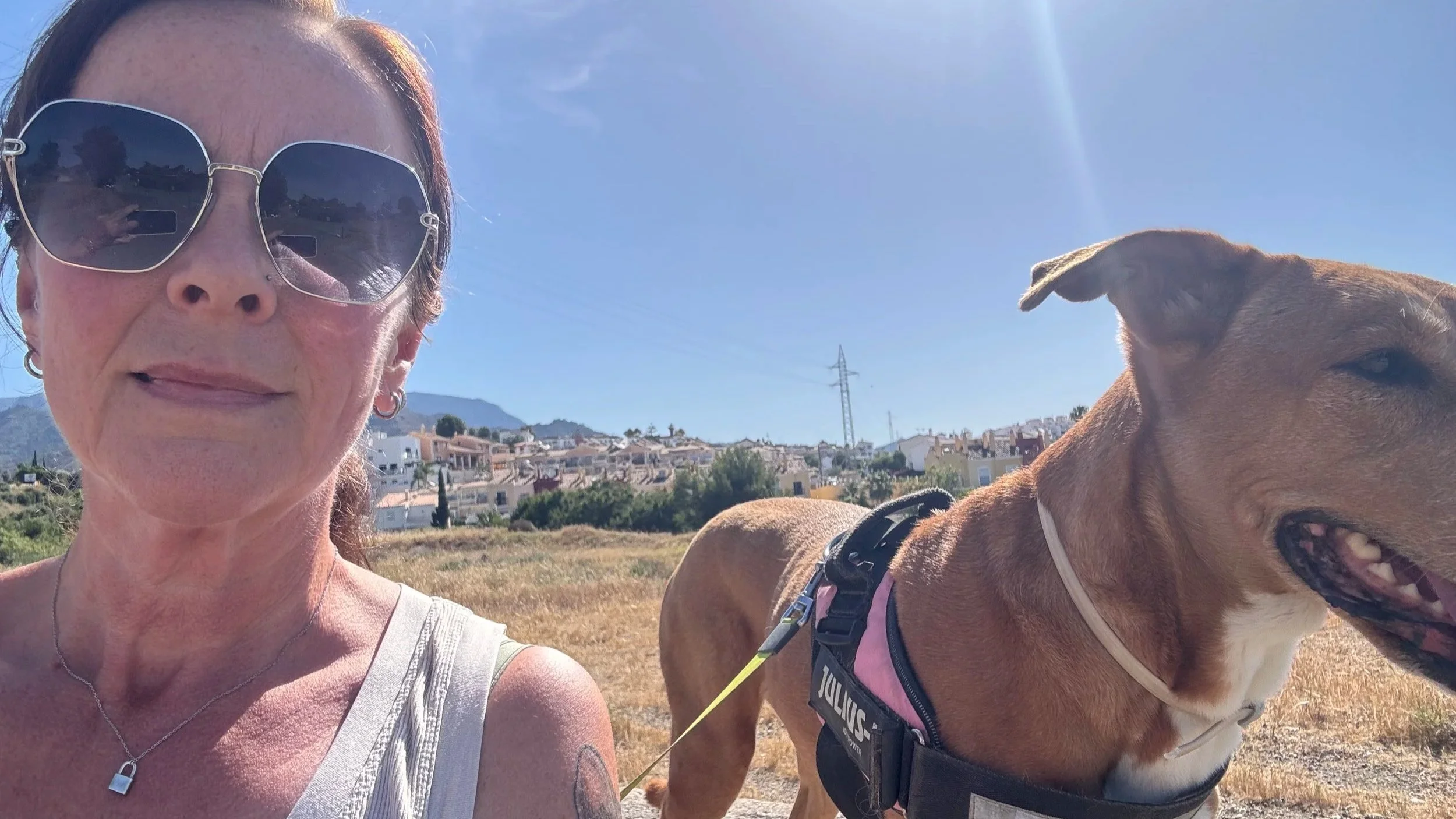 A woman wearing sunglasses taking a selfie outdoors with a brown dog on a sunny day. The background shows houses and hills.