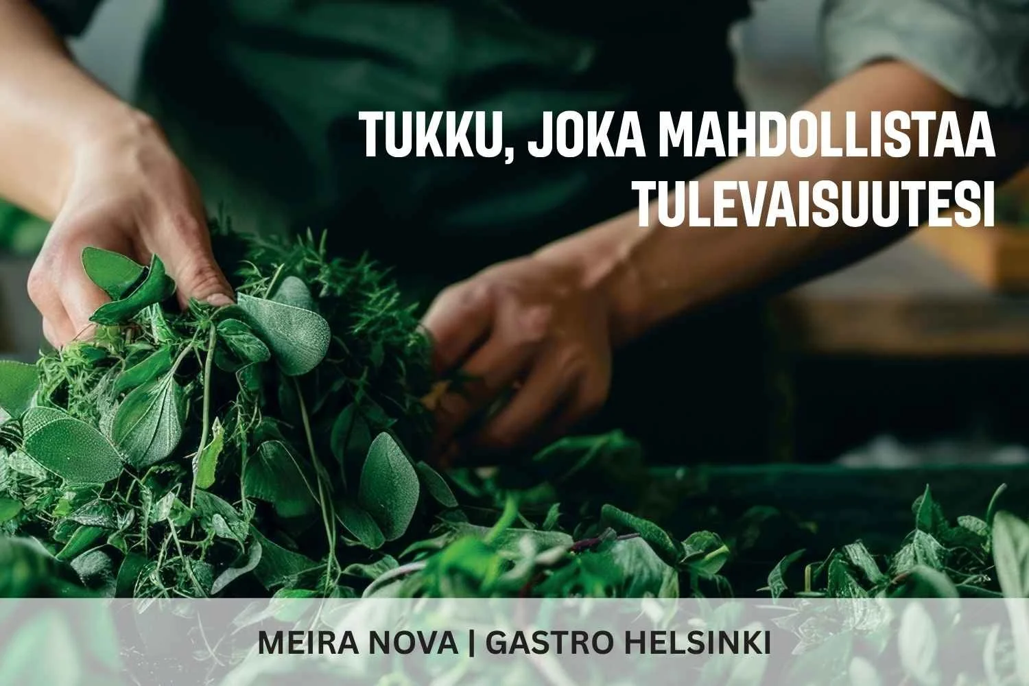 Meira Nova | Gastro Helsinki