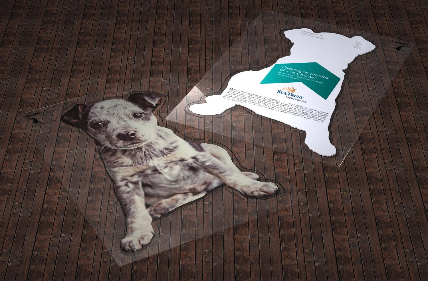 DTrio_Dog ClearCard w-Peel-out.jpg