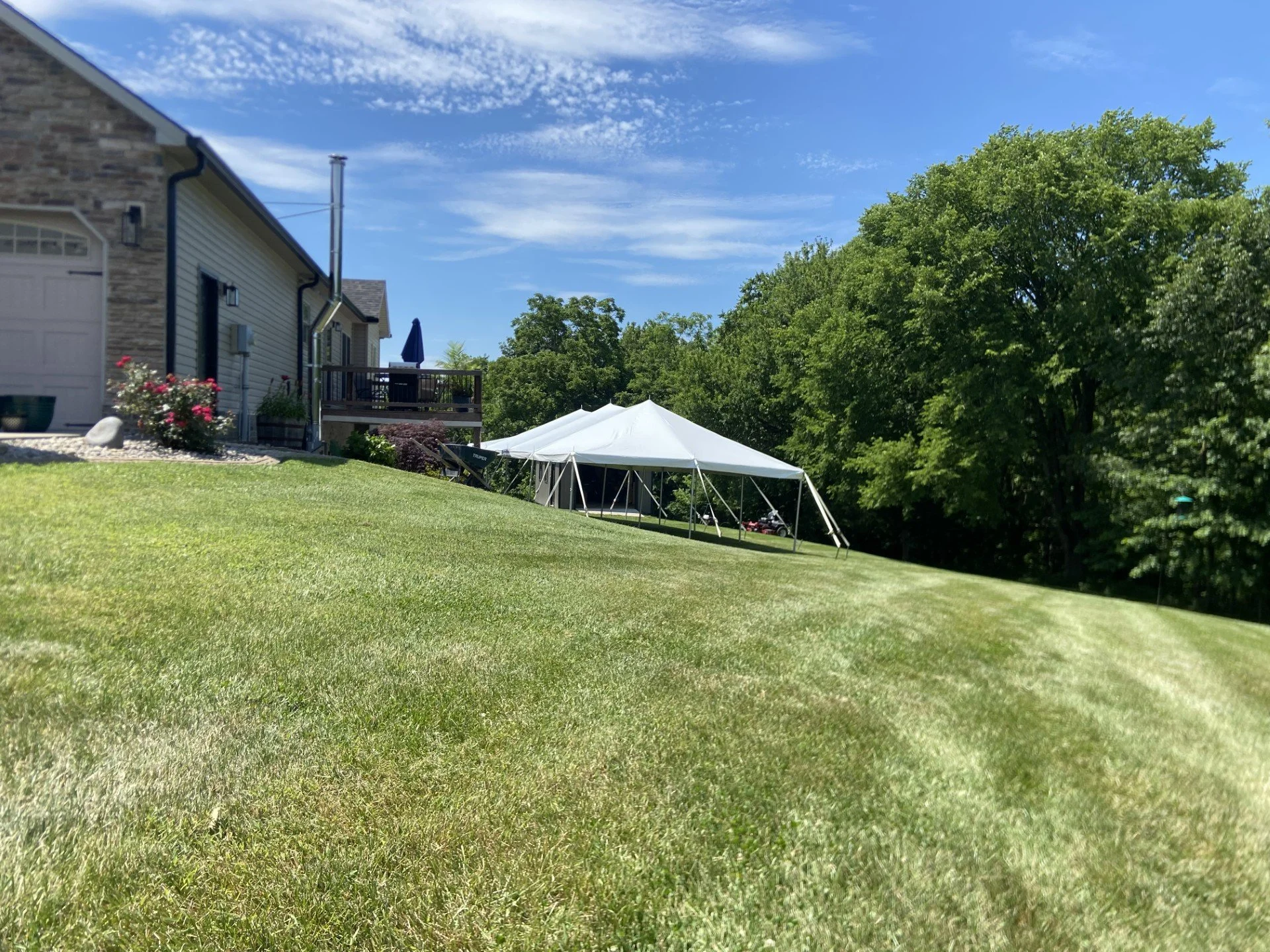 A backyard with a lawn, a house with a deck, large trees, and a white canopy tent under a clear blue sky with some clouds.