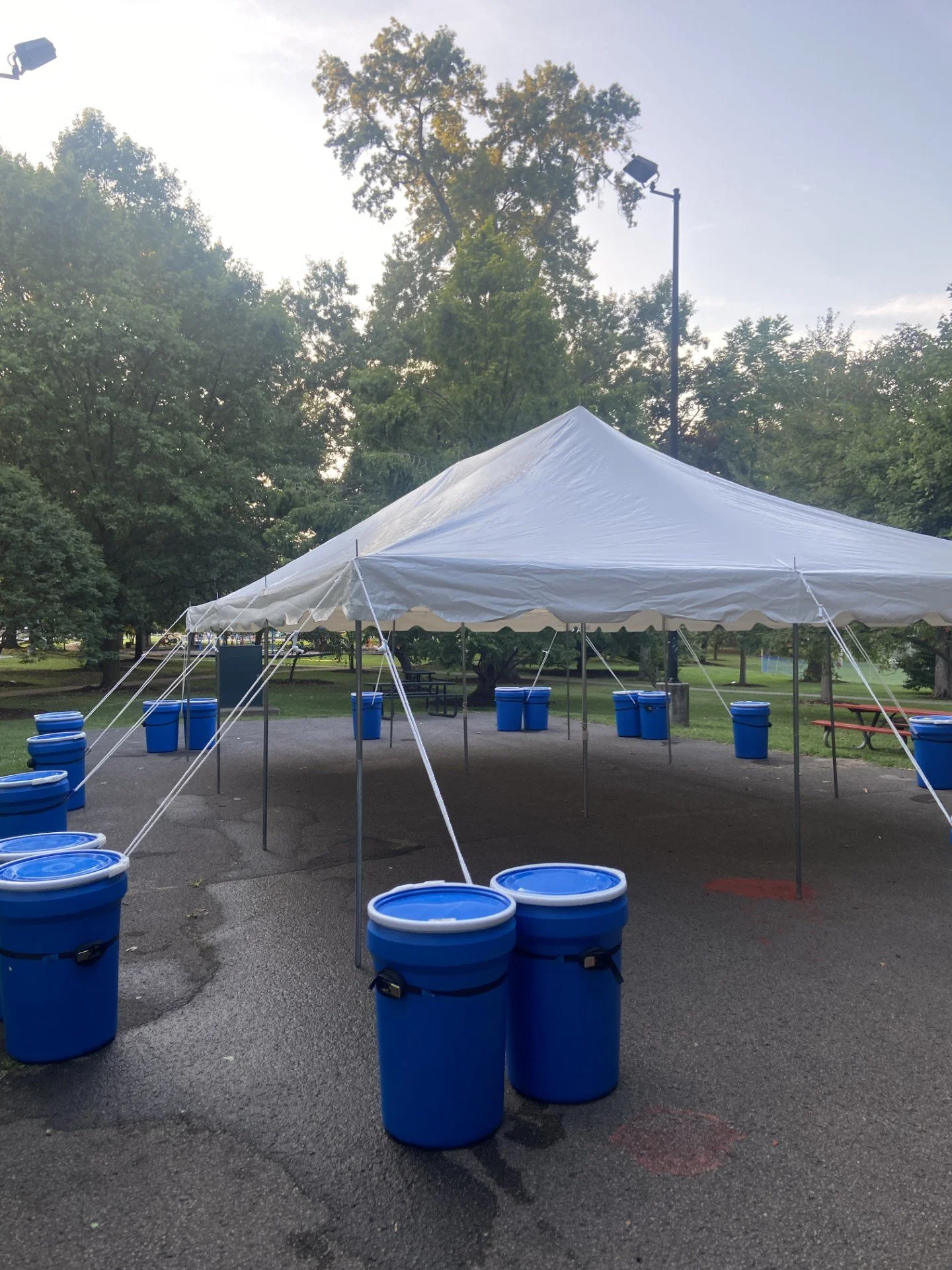 An outdoor event setup featuring a large white canopy tent tied down with ropes, surrounded by numerous blue buckets, some with lids, set on a paved area in a park with trees in the background.