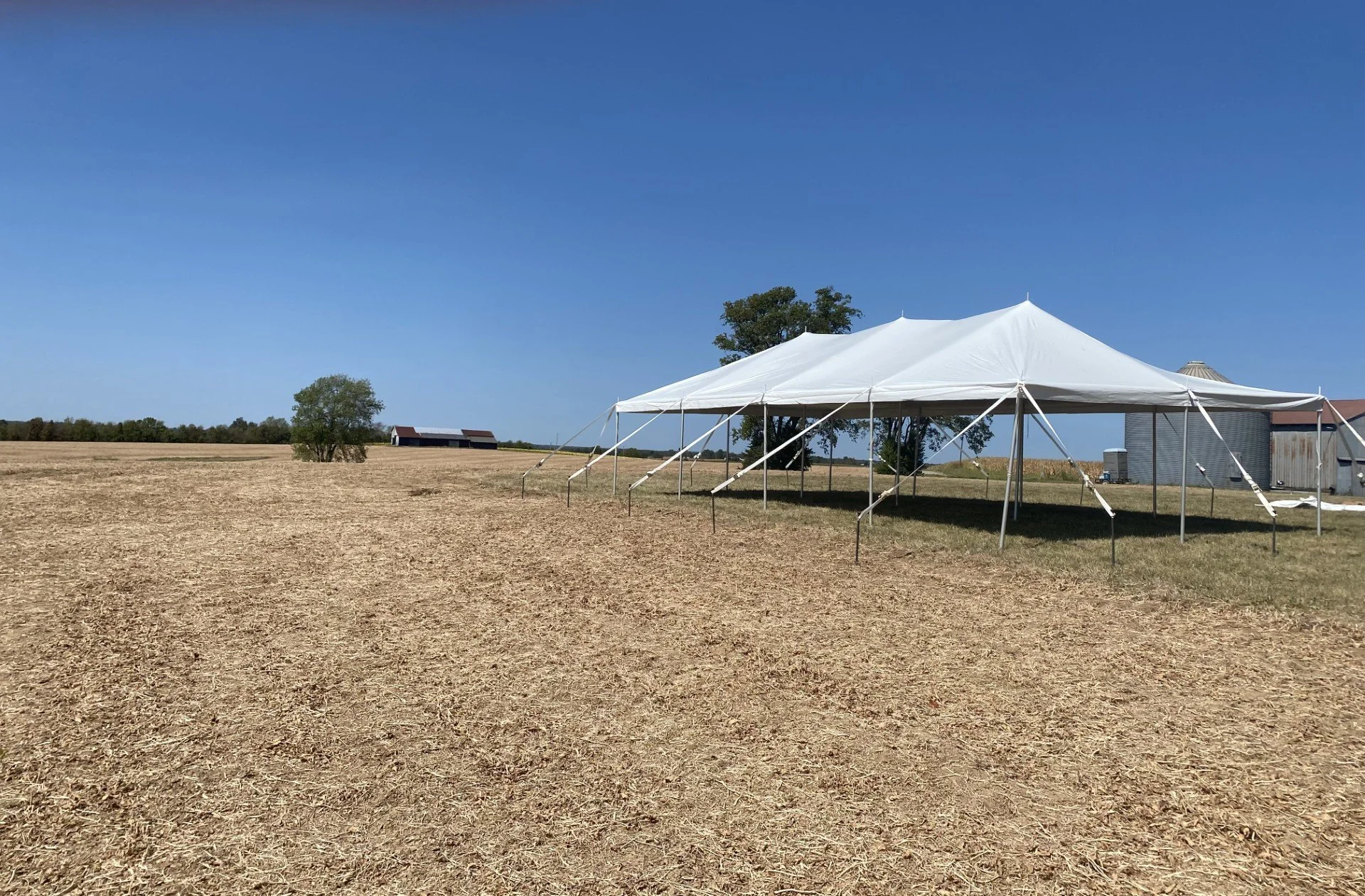 A large white event tent set up on a dry farm field with a clear blue sky overhead, farm buildings and silos in the background.