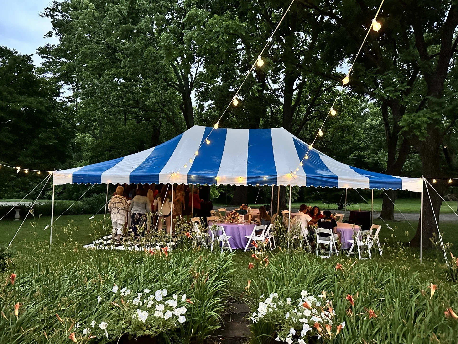 A large outdoor event tent with blue and white stripes, decorated with string lights, set in a green park with tall trees. Several tables with purple tablecloths are arranged under the tent, and people are gathered and sitting around.